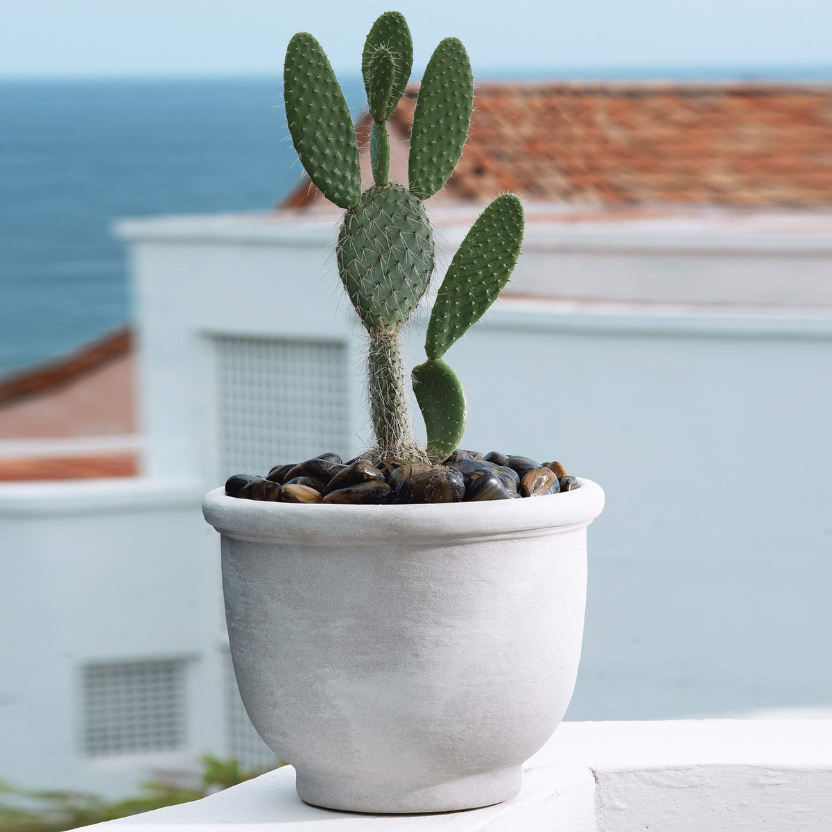 Crescent Garden Agave Planter, Classic Lightweight Resin Planter - UV-Resistant Flower Pots - Indoor & Outdoor Pot for Flowers, Houseplant, Herbs, 21" W x 17" H (Rust)