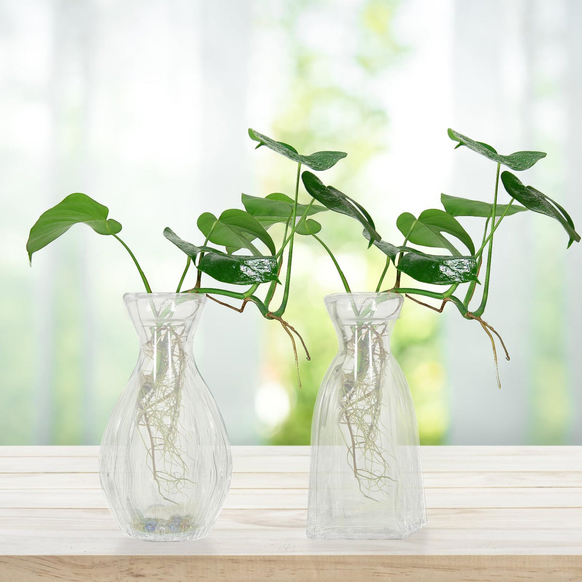 Sewroro 4pcs Decorative Glass Vases Small Terrarium Flower Vases for Hydroponic Plants Desk Home Décor Minimalist Glass Flower Containers