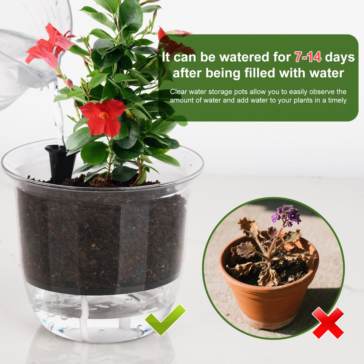 IWNTWY Plant Pots 6 inch Set of 3, Self Watering Pots for Indoor Outdoor Plants Flowers, Self Watering Planters with Reservoir, Drainage Hole and Absorbent Cotton Rope (3 Large)