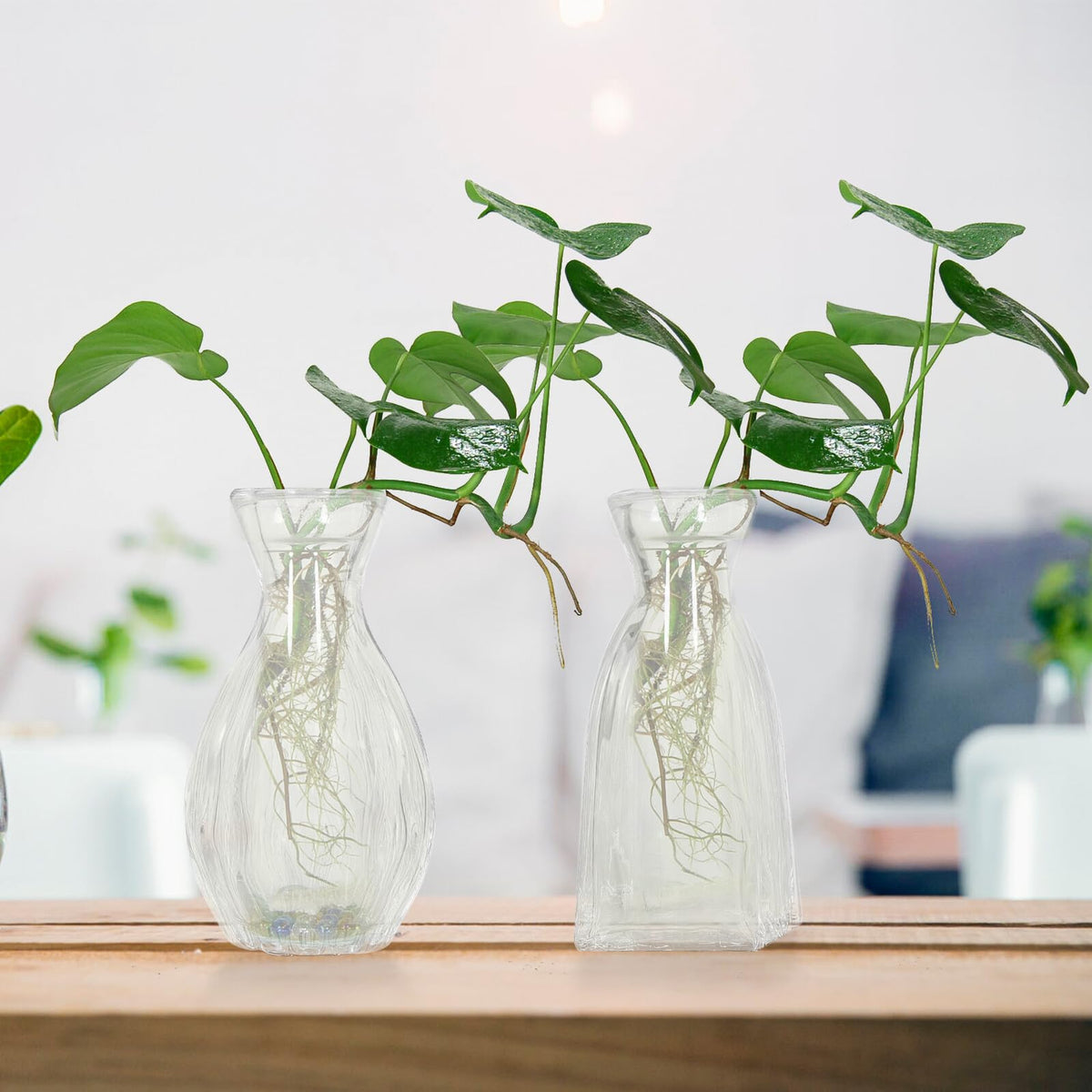 Zerodeko 4pcs Glass Hydroponic Flower Vases Small Desktop Indoor Glass Bud Vases for Home Decor and Terrarium Plant Arrangement
