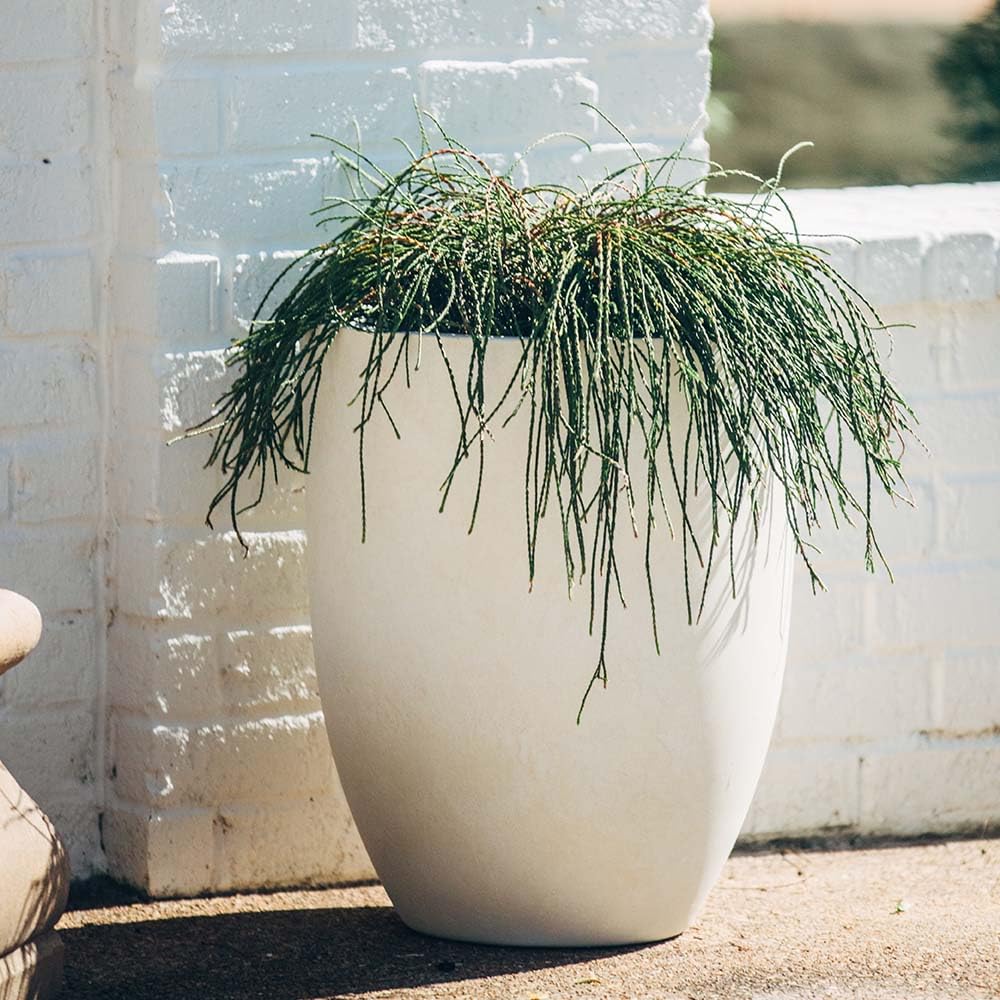 TITAN GREAT OUTDOORS Ash & Ember 18" Laurel Satin Ivory Planter, Lightweight Fiberstone Composite with Weather-Resistant Finish, Modern Planter Pot for Indoor and Outdoor Plants