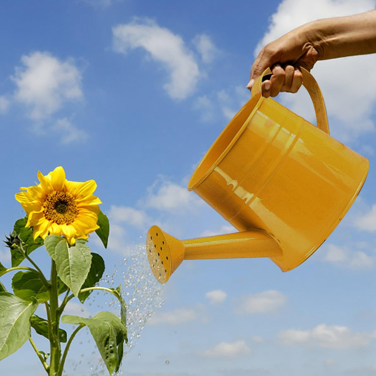 Galvanized Watering Can 1L,Tinplate Watering Kettle with Removable Spout,Garden Decorations,Gardening Tools for Outdoor Indoor Plants Lawn Garden (Yellow)