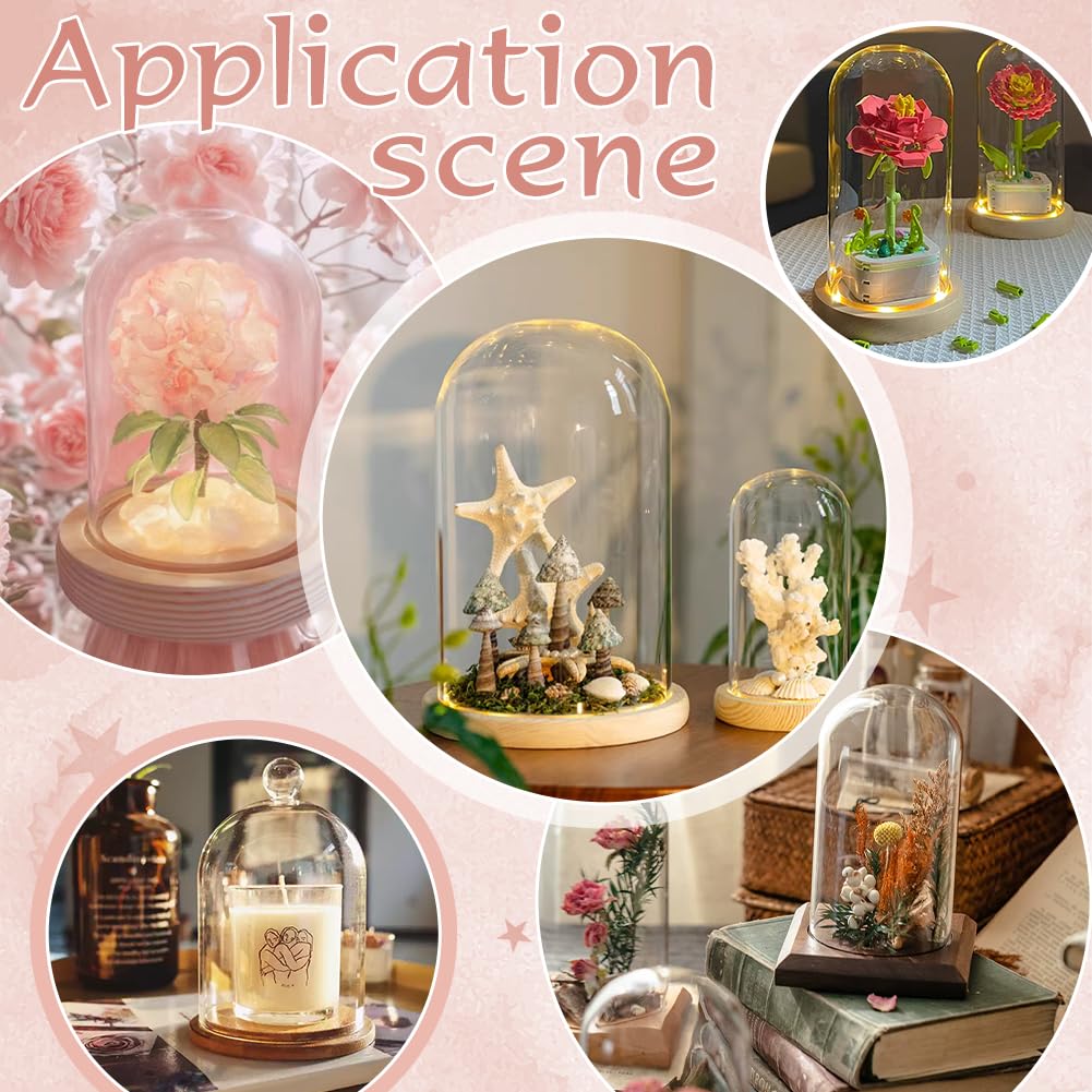 PH PandaHall Glass Cloche Display Dome 5.6x10.9inch Bamboo Base Bell Jar Clear Terrarium Display Dome Cloche Bottles Storage Case Decorative Centerpiece Stand for Plants Flower Succulent Home Decor