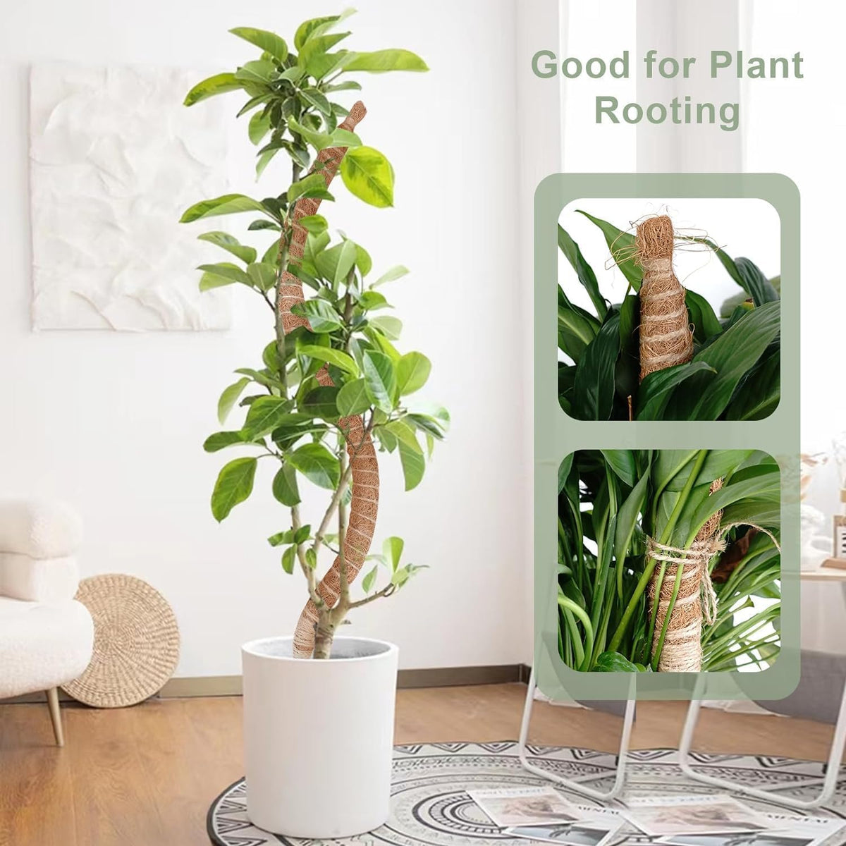 2 Pack 48" 60" Moss Pole, Bendable Moss Pole for Plants Monstera, Tall Moss Poles for Climbing Plants Indoor,Large Support, Garden Trellis Stick Stakes for Plants