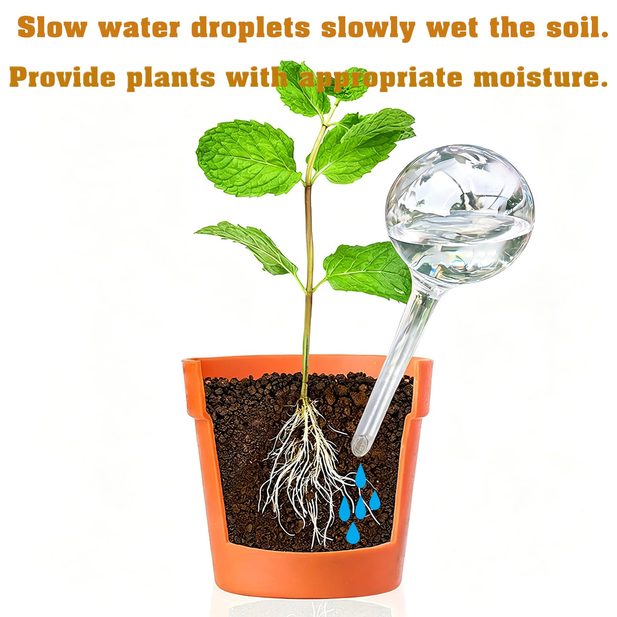 Plant Automatic Watering Devices, Clear Plastic Self-Watering Bulbs Flower Automatic Watering Device While Away Garden Waterer for Plant Indoor Outdoor