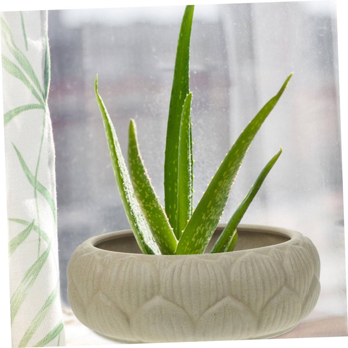 Parliky Hydroponic Planter Bowl 8.26In Round Ceramic Flower Pot for Water Lily Succulents Indoor Garden Decoration and Storage Container