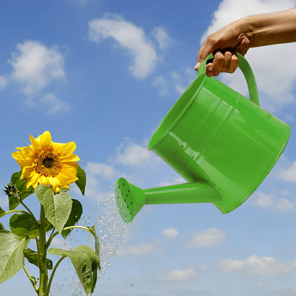Galvanized Watering Can 1L,Tinplate Watering Kettle with Removable Spout,Garden Decorations,Gardening Tools for Outdoor Indoor Plants Lawn Garden (Green)