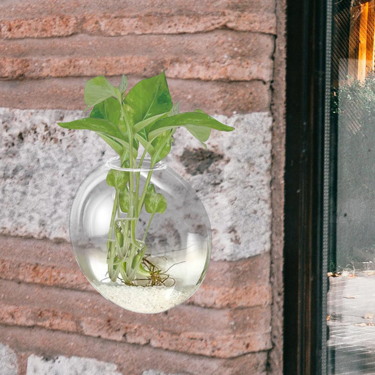 NUOBESTY Wall Mounted Hydroponic Vase Glass Planter Hanging Plant Terrarium Bottle for Indoor Home Décor Hydroponic Plants,