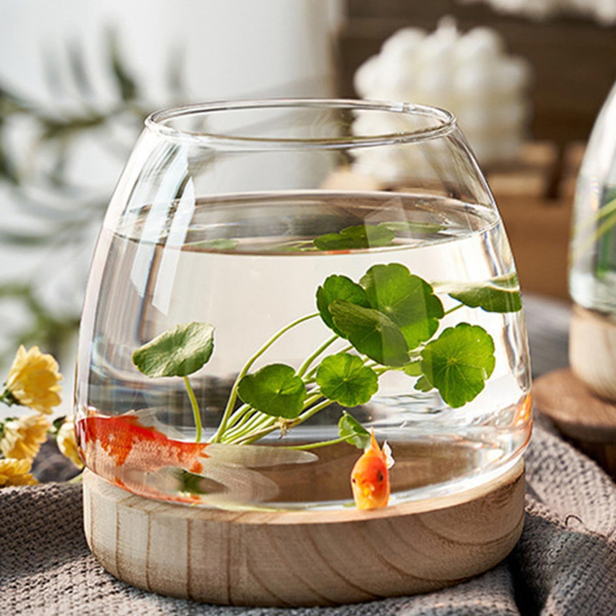 Hydroponic Vase - Durablee Hydroponic Plant Vase, Transparent Glass Fish Bowl Vase with Wooden Support | Wide Mouth Terrarium Flower Vase, Glass Hydroponic Planter Clear Fish Bowl for Home Decoration
