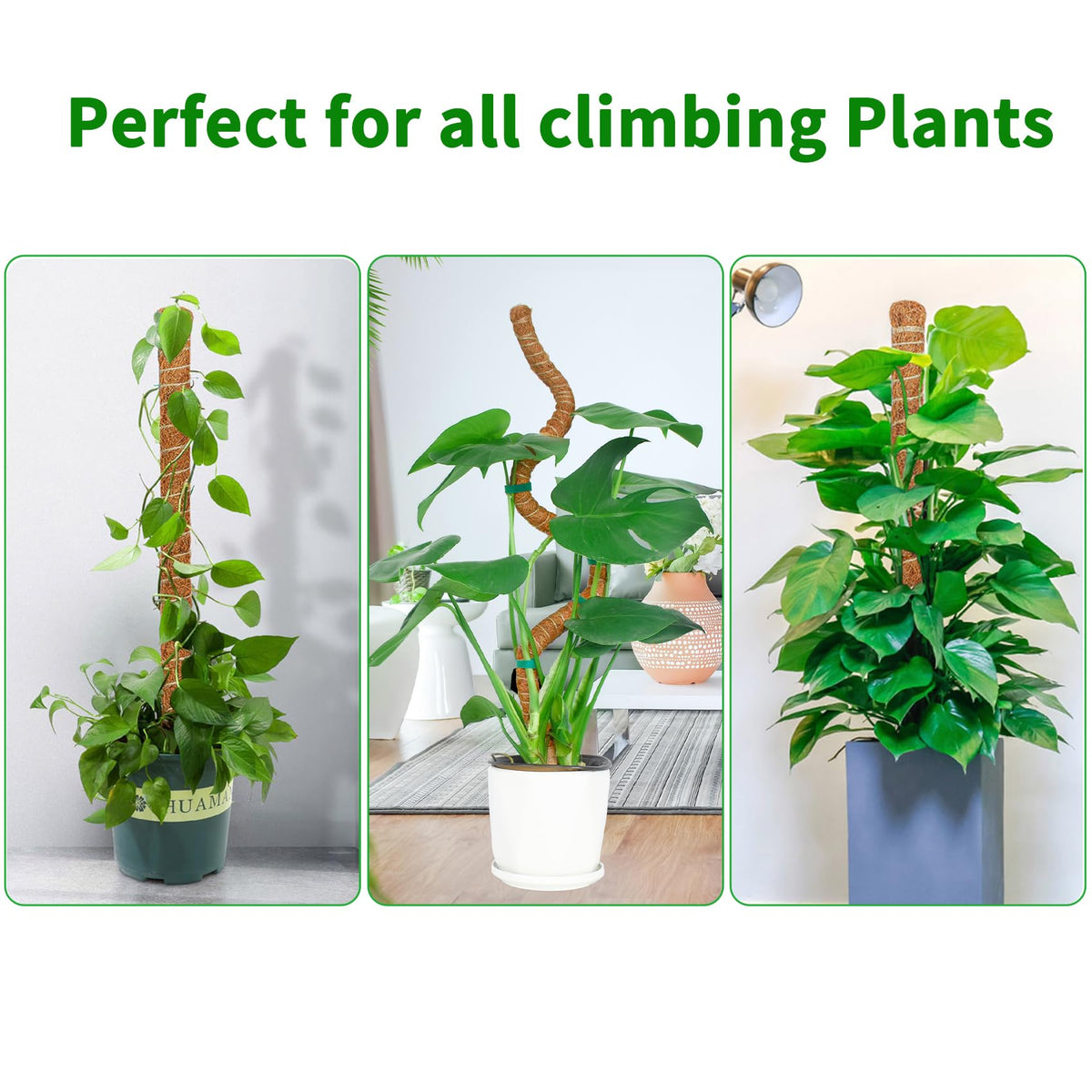 Dimpoo 4 Pack 28 Inch Moss Pole Monstera Plant Support, Coir Moss Poles for Climbing Indoor Plants, Bendable Plant Stake Trellis for Potted Plant, Pothos, Philodendron