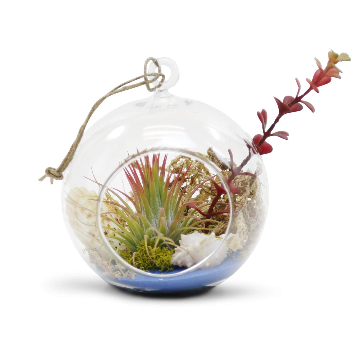 WGV Hanging Terrarium Globe, Width 5", Height 6", DIY Air Succulent Planter, Clear Glass Vase Orb with Flat Bottom, Candle Holder for Windowsill Outdoor Garden Decor, 1 Piece