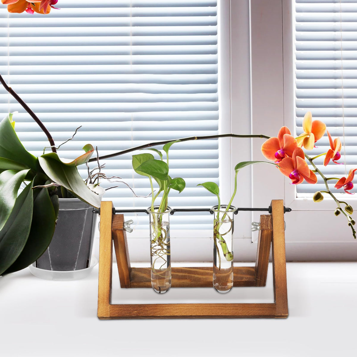 OUNONA 5pcs Glass Test Tube Flower Vases for Plants Propagation Hydroponic Small Terrarium Tubes 2.5x3x11cm for Home Décor