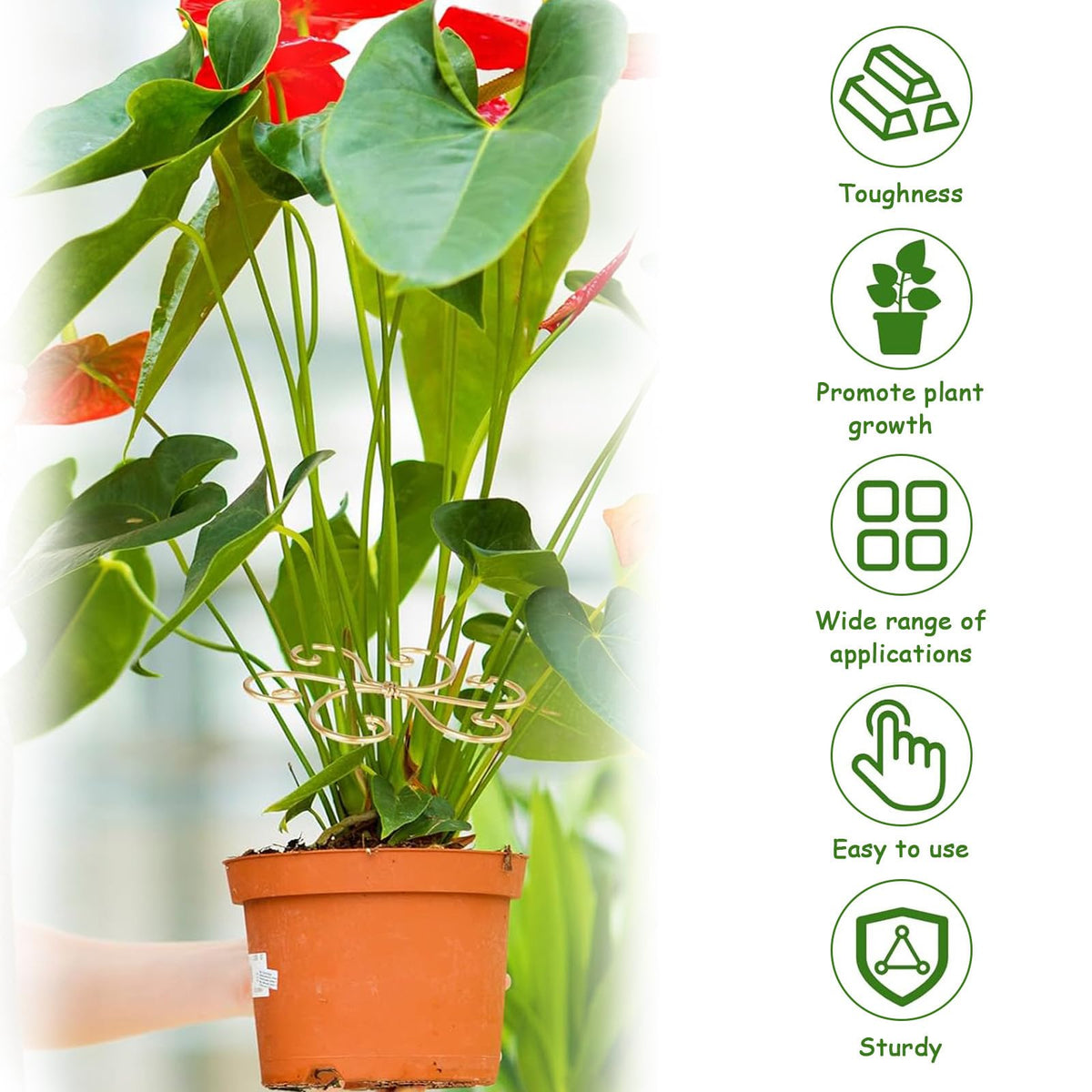 5 Pcs Plant Stem Support, Iron Monstera Plant Support, Durable Hook Stem Supports for Healthy Growth, Bamboo Clamp Set for Leaf Stabilization and Support, Ideal Present for Plant Lovers (6.5IN*6.5IN)