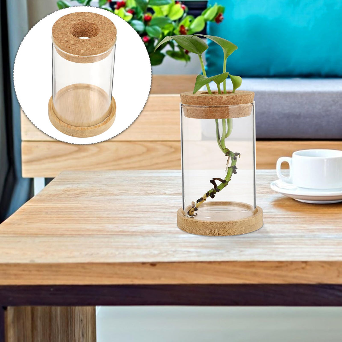 Artibetter 2pcs Hydroponic Glass Plant Vases with Stand, 6.5x10 Inch Desktop Garden Decoration Terrarium Containers for Office and Home Hydroponics