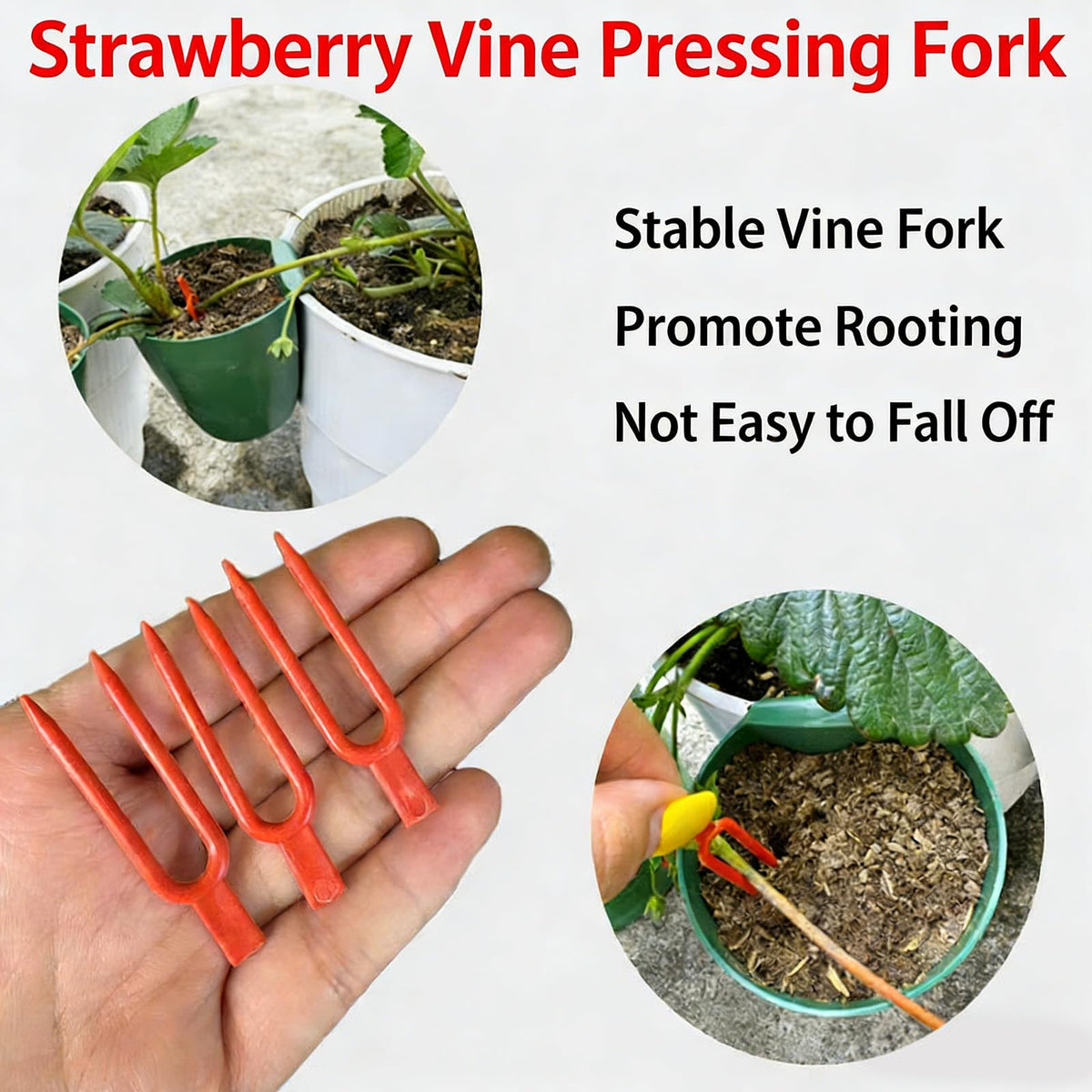 Kangnice Propagation Cup Set Featuring Food Grade and Runner Forks Ideal for Strawberry Runners and Seedling Cultivation Strawberry Fixing Fork