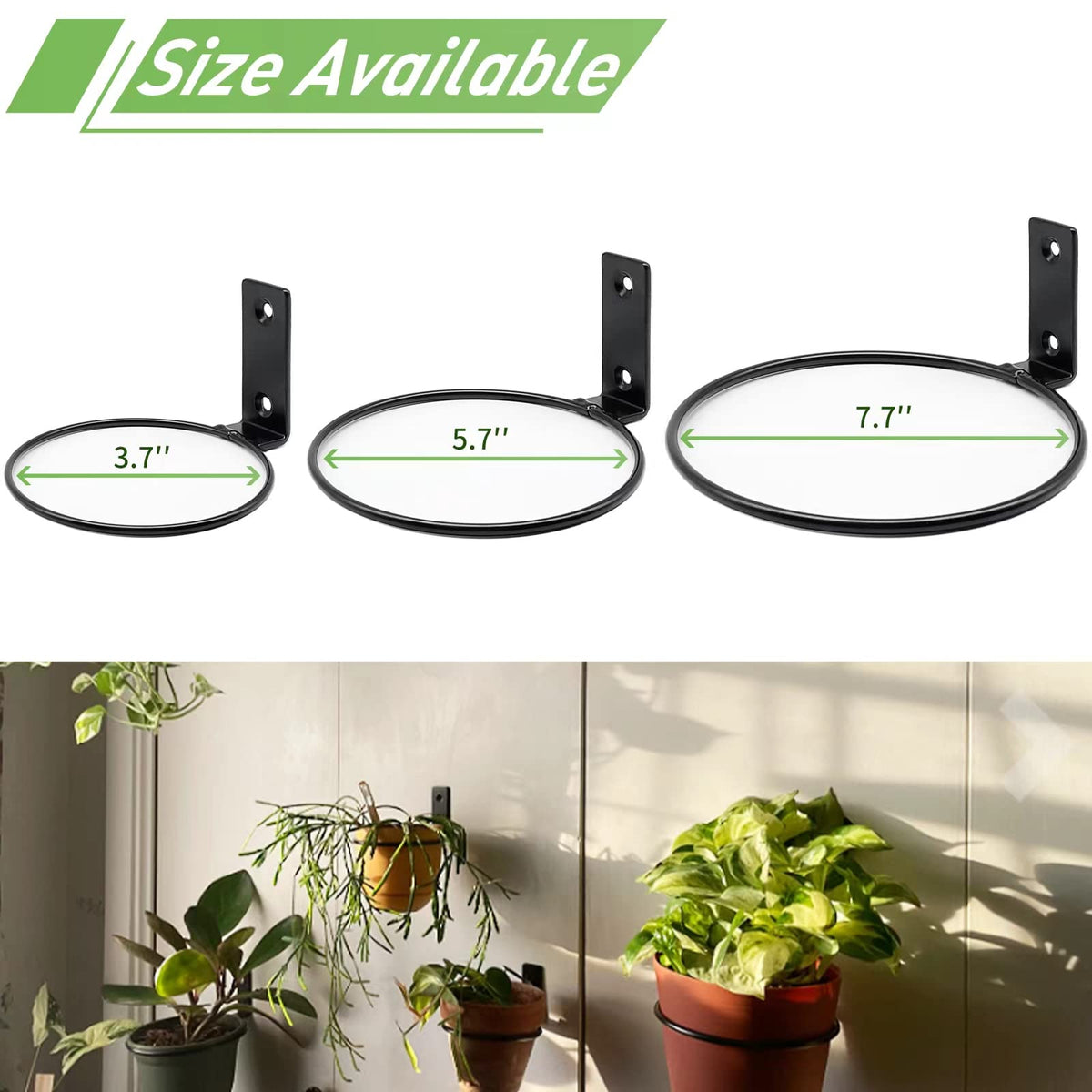 Greemov 6 Pack 8 Inch Wall Flower Pot Holder Ring Plant Hanger, Metal Planter Hooks Wall Mounted Bracket Heavy Duty for Outdoor Indoor