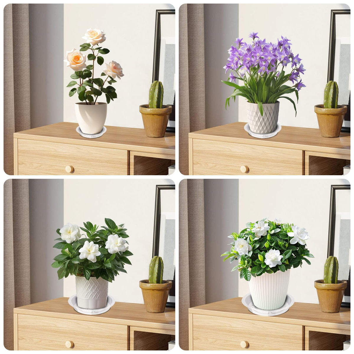Hyuetrsa 36 PCS Plastic Plant Trays，6/8/10/12 Inch Plant Saucers Clear Plastic,Plastic Plant Saucer Durable Plant Trays for Plant pots Indoors and Outdoors（Round，Clear）