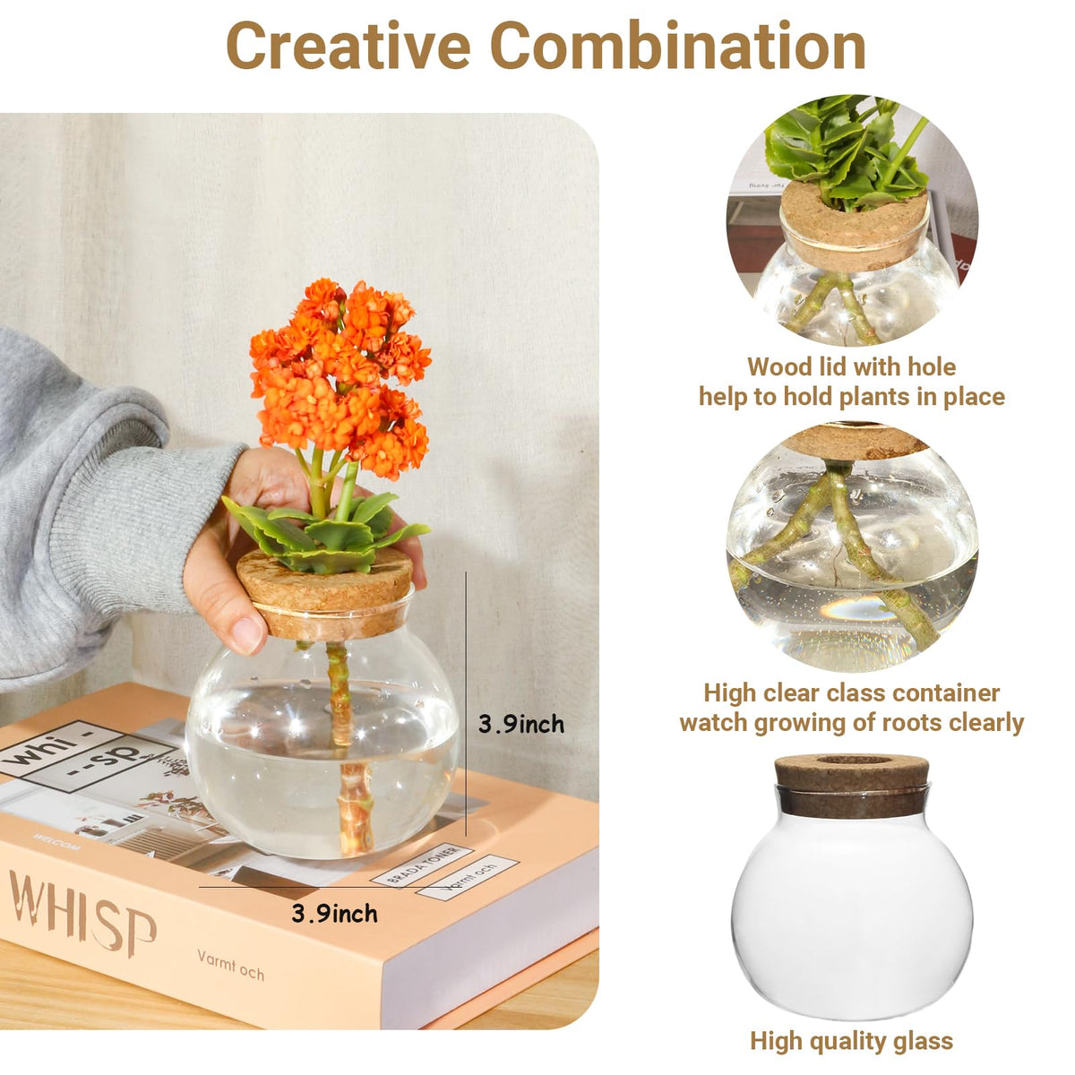 wangsdjy Plant Propagation Station,Hydroponic Terrarium Vase,Desktop Glass Planter Station,for Houses,Garden Decorations,ropagating Hydroponic Plants,Centerpiece Office,Home Garden Decor (6)