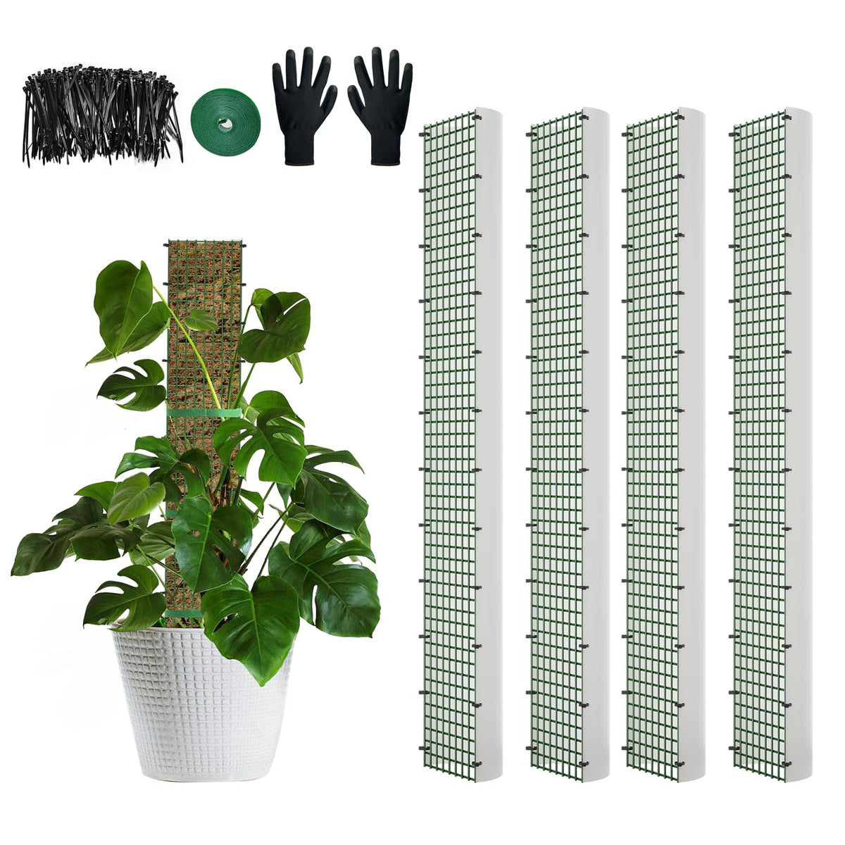 HOLANHING 60"/40"/24" Metal Moss Pole, D Shape Sphagnum Moss Pole, Moss Poles for Climbing Plants, Monstera, Indoor Climbing Plants(4Pcs 40")