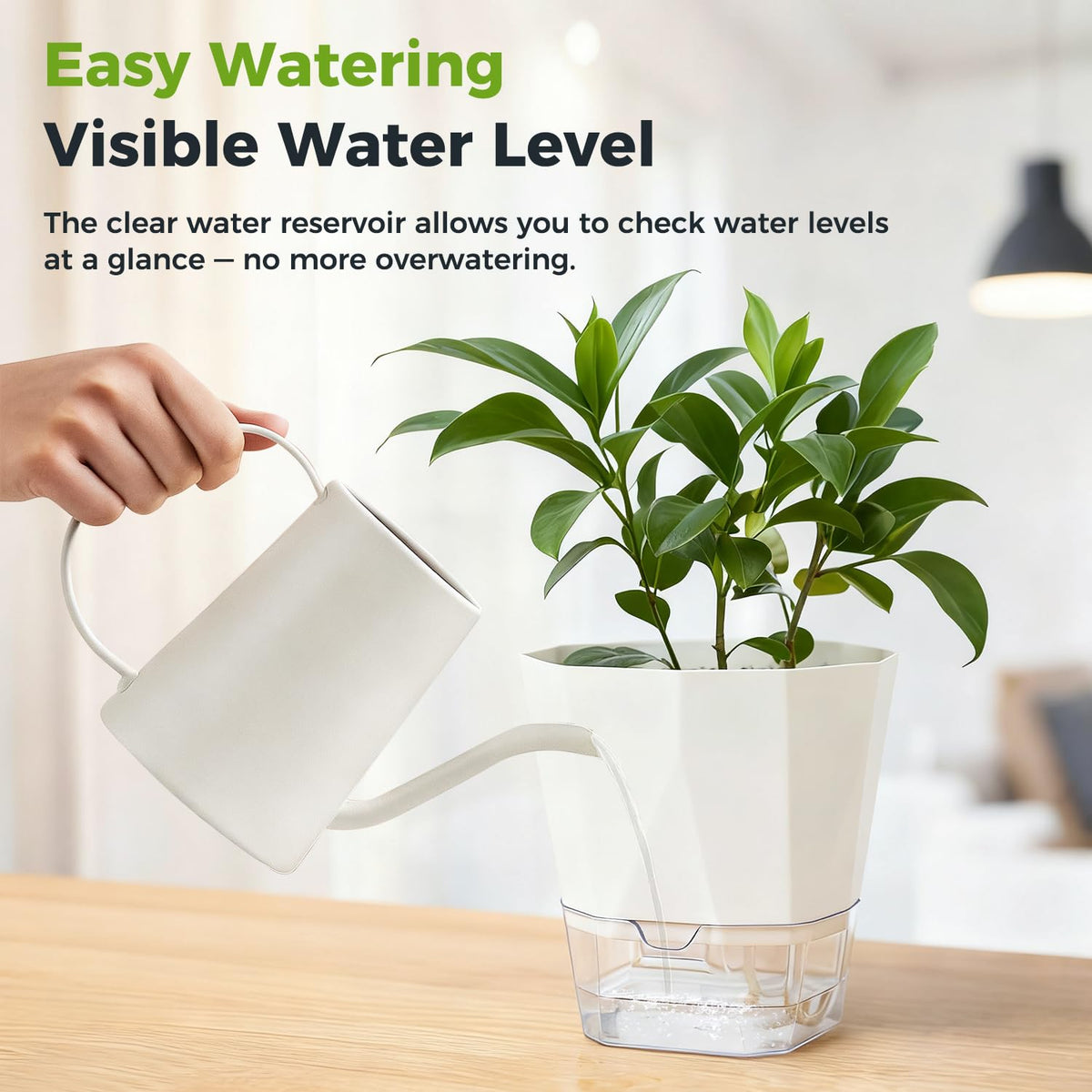 2 Pack Self Watering Pots for Indoor Plants, 8.4 Inches Self Watering Planters Large African Violet Self Watering Clear Pots for Plants Large Herb Orchid Flower Houseplant Pots, White
