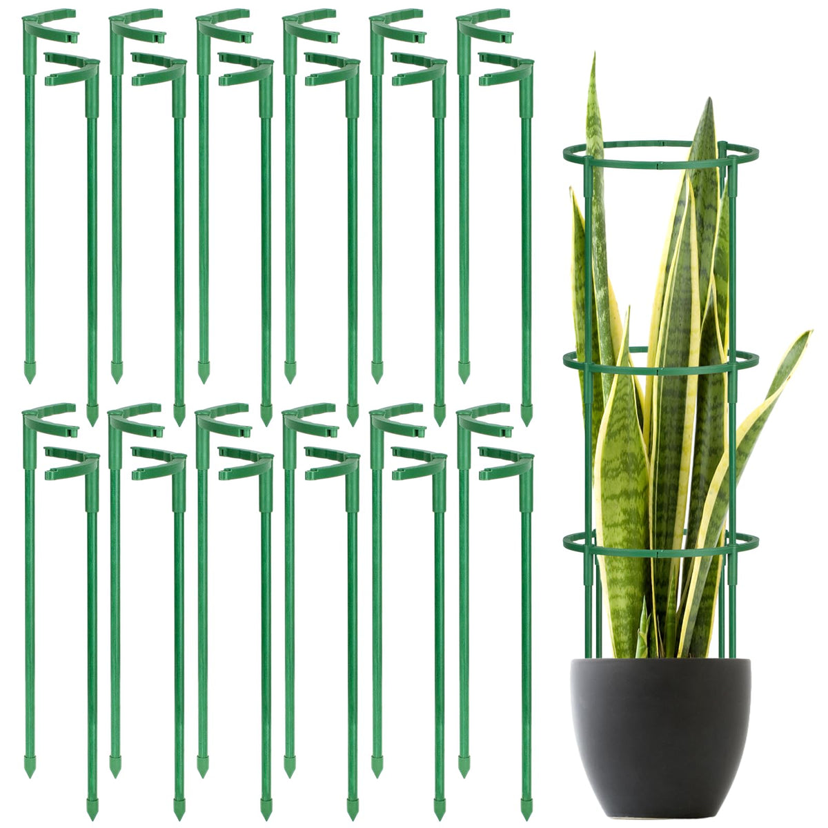 24 Pcs Plant Support Stakes, Half Round Plant Support for Indoor Plants, Stackable Garden Flower Support, Plant Stakes for Tomato, Monstera, Peony, Hydrangea Climbing Plants (6.2 "Wide X 11.6" High)