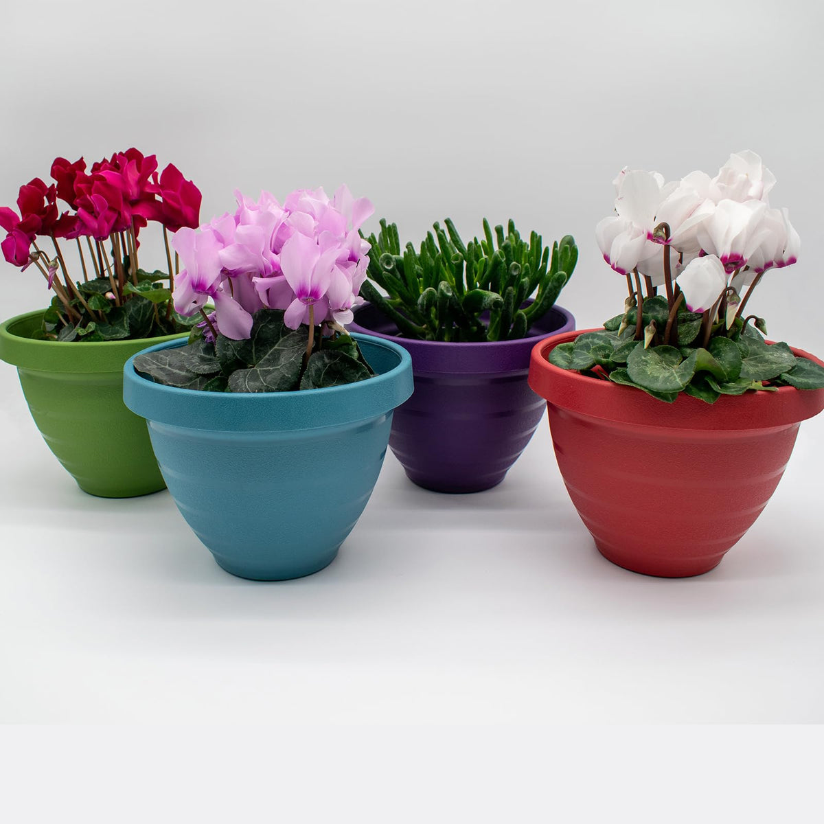 The HC Companies Rings Flower Planter - Self Watering Plant Pots for Herbs & More - Round Lightweight Outdoor & Indoor Planter (8" Purple, Pack of 2)