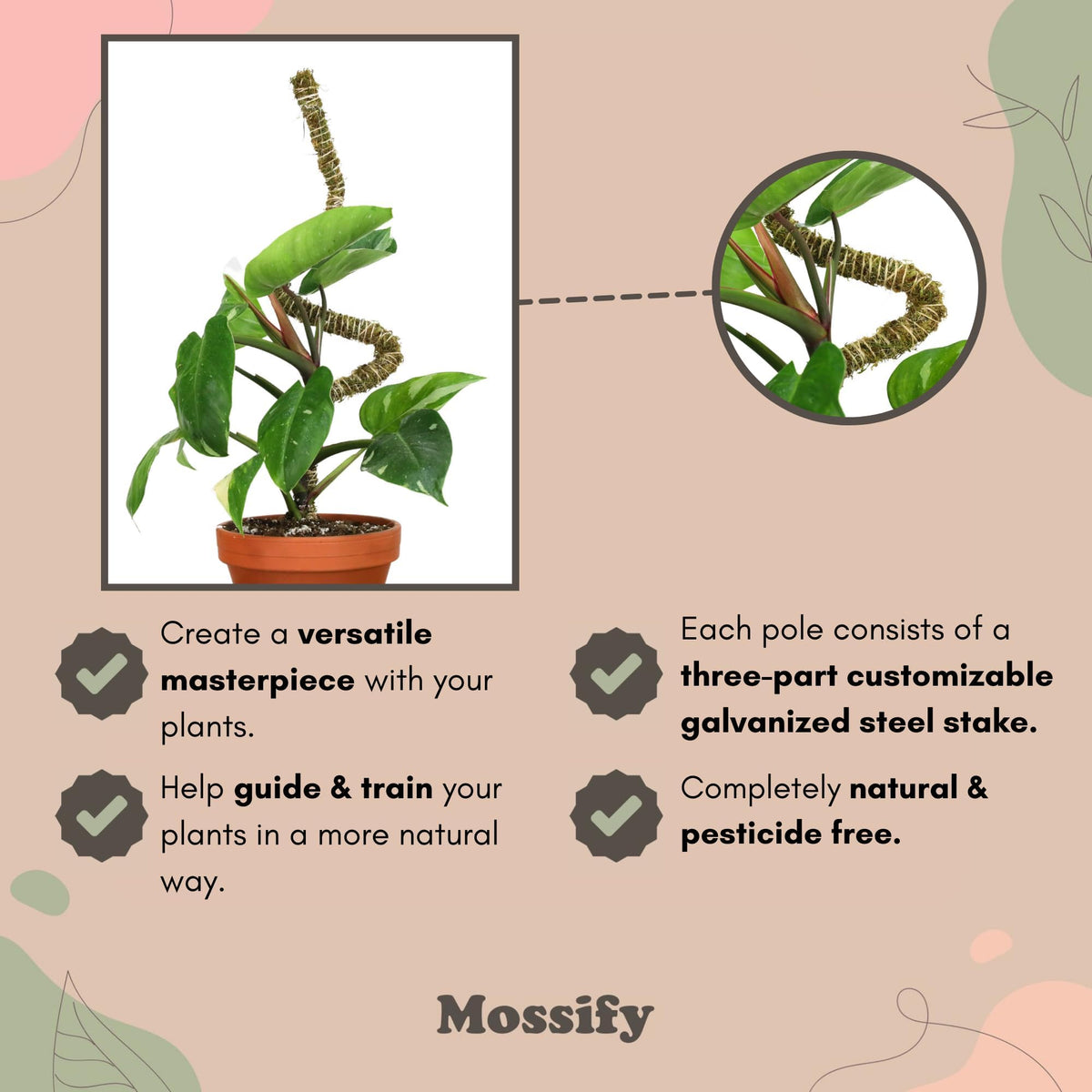 Mossify Bendable Moss Pole for Monstera 3 Pack (16" / 30" / 42") – Flexible Moss Pole Stakes for Indoor Plants – Premium Forest Moss with 3-Prong Stake System – Indoor & Outdoor Plant Trellis Set