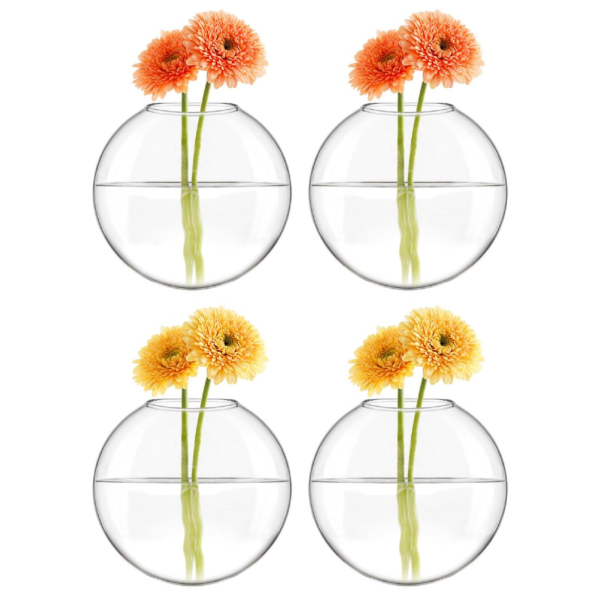 Mkono Wall Hanging Planter Propagation Station Glass Flower Vase for Hydroponics Plants, Bathroom, Home Office Living Room Decor Gift, Oblate Set of 4(Plants not Included)