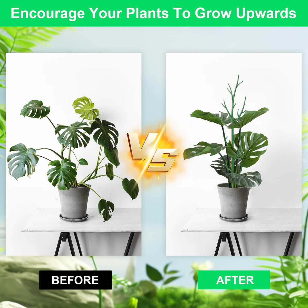 letesult 11 Pack Monstera Plant Support - 71.4" Plant Support Stakes for Indoor Plants Sticks Support Tall Indoor Plant Stakes with Twist Ties Stackable Plant Stem Support for Monstera Plants