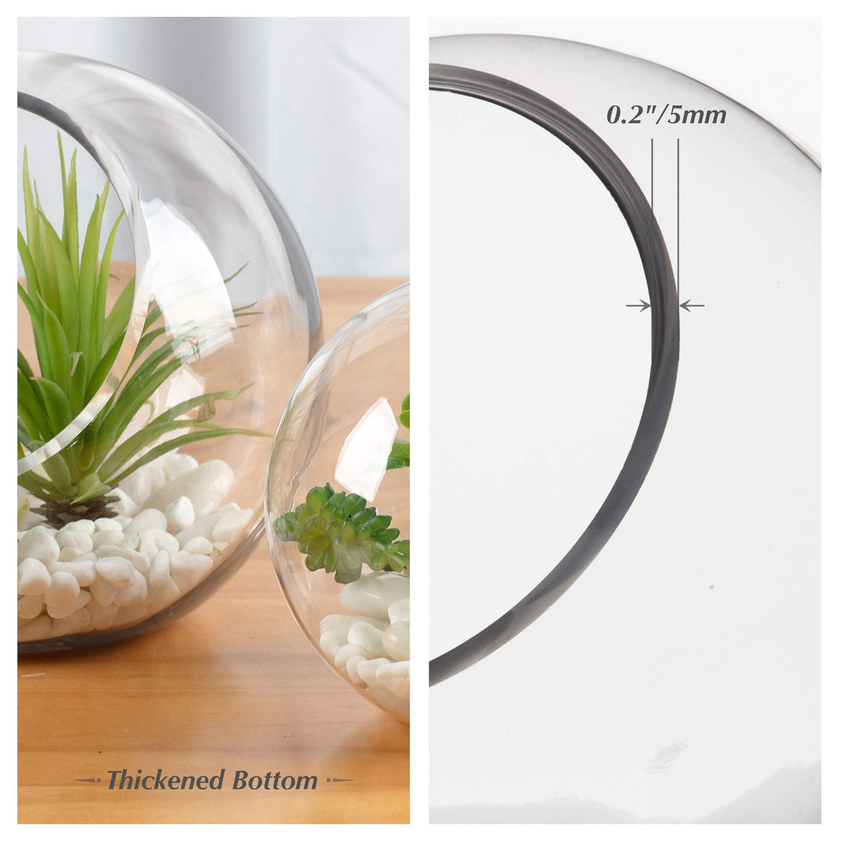 WGV Slant Cut Bowl Glass Vase, Width 5.5", Height 5.5", Clear Round Globe Planter Terrarium Orb, Candy Dish, Fruit Jar, Floral Container for Home Office Decor, 1 Piece