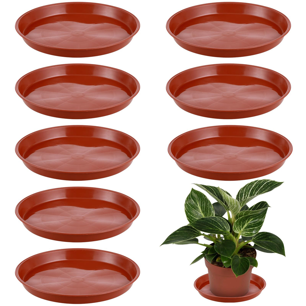 KvyusFlourish 8 Pack 11.5 Inch Plant Saucers for Indoors Outdoors Plastic Plant Water Catcher Trays No Holes Round Flower Pot Drip Trays, Heavy Duty Plant Pot Saucers Water Drainage Trays, Terracotta