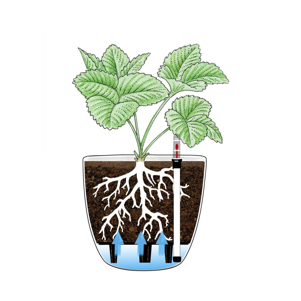 T4U 6 Inch Plastic Self Watering Planter with Water Level Indicator White Set of 4, Modern Decorative Planter Pot for All House Plants, Flowers, Herbs, African Violets, Succulents