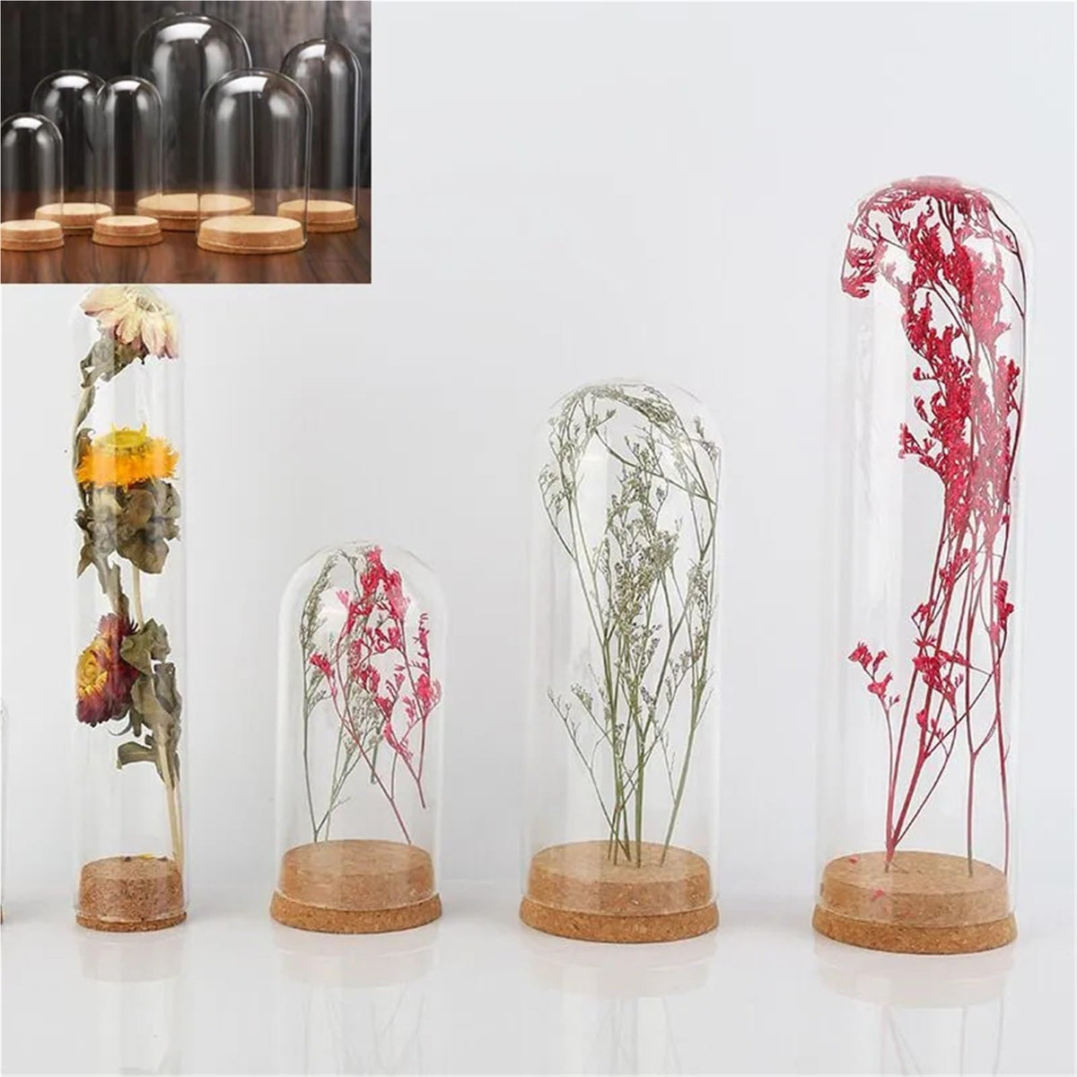 10X Da30mm Glass Bottle Terrarium Jar Cork Base Dome Dust Cover DIY Specimen Succulent Plant Micro Landscape Flower Vase Display(30x150cm)