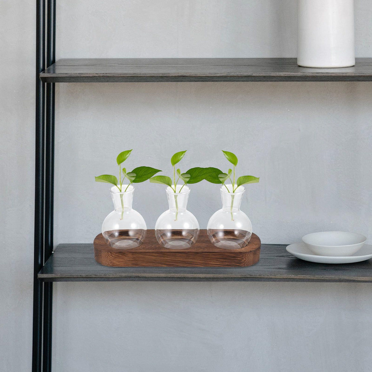 PRETYZOOM Glass Plant Vase Set with Wooden Base, Hydroponic Terrarium for Office and Living Room Decor, 3pcs Tabletop Flower Arrangement Vessels