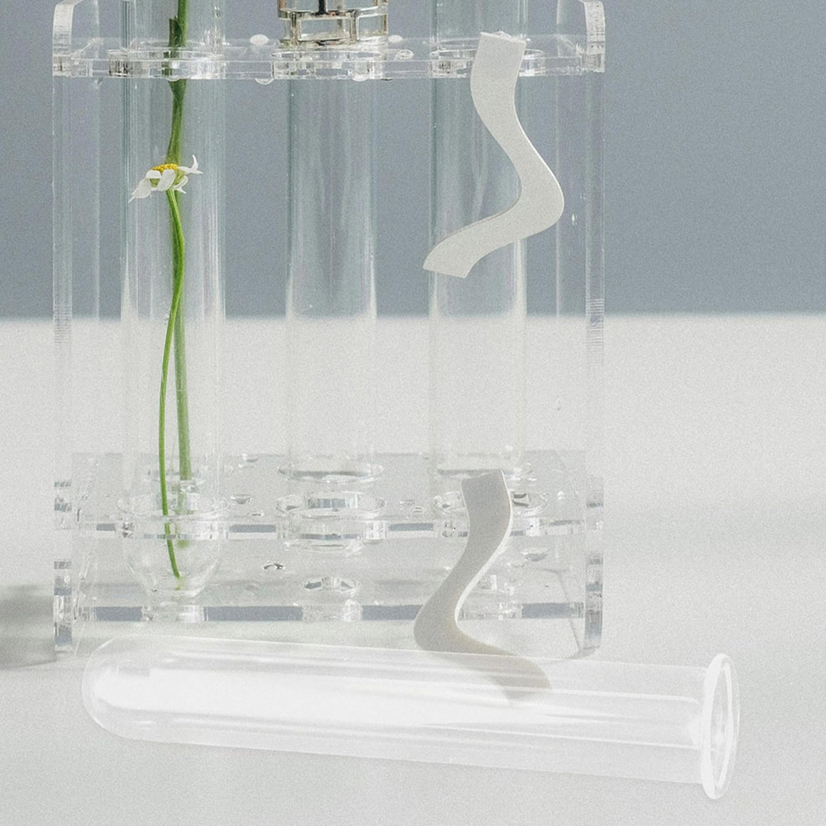 Yardwe 5pcs Hydroponic Glass Propagation Tubes Small Floral Test Tube Vases 2.5x3x15cm Glass Hanging Containers for Small Terrarium Plants Home Décor