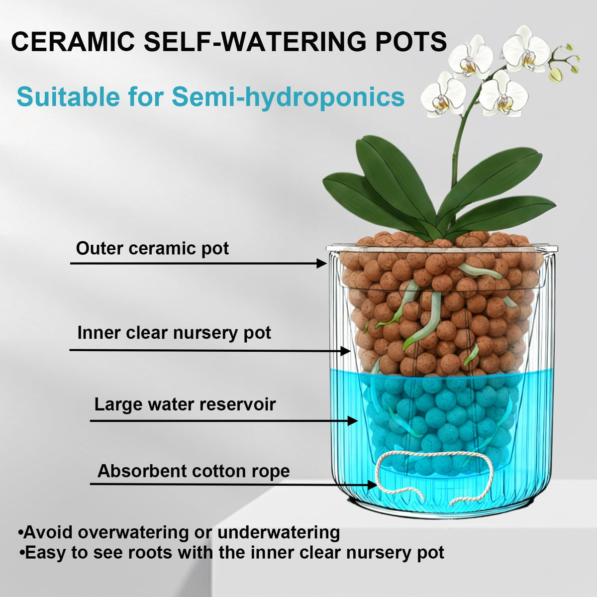 TineDew 2 Pack of 5in Ceramic Cachepot with 5 inch Clear nusery Pot - self Watering Indoor Planter with Drainage for Root Visibility,semi Hydro pots for repotting Orchid,White