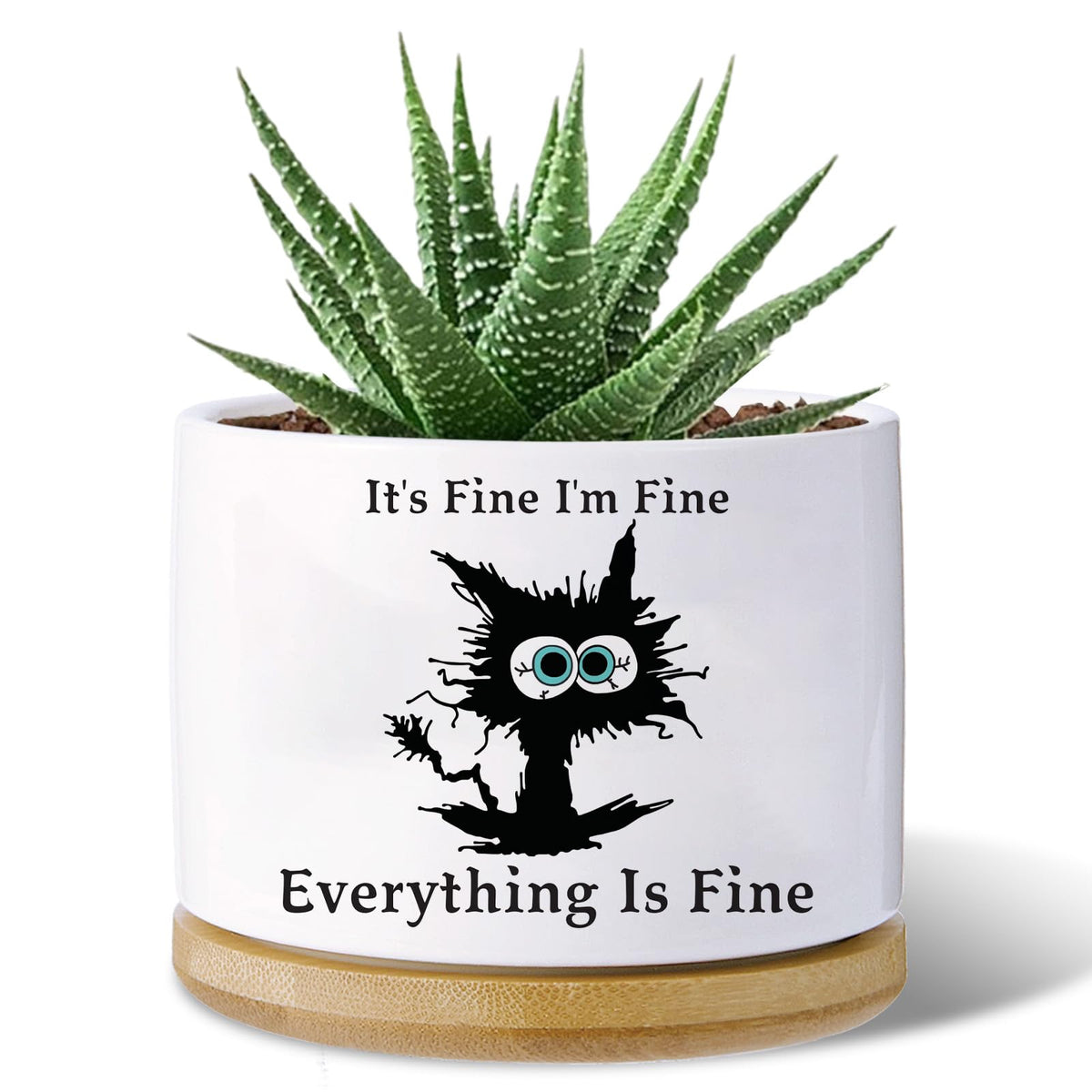 Haooxinwei Black cat planters for Indoor Plants,Funny Gifts for Cat Lover,Indoor Plants Garden Planters Succulent Pots, with Drainage Holes and Saucer(No Plants) (Black Cat)