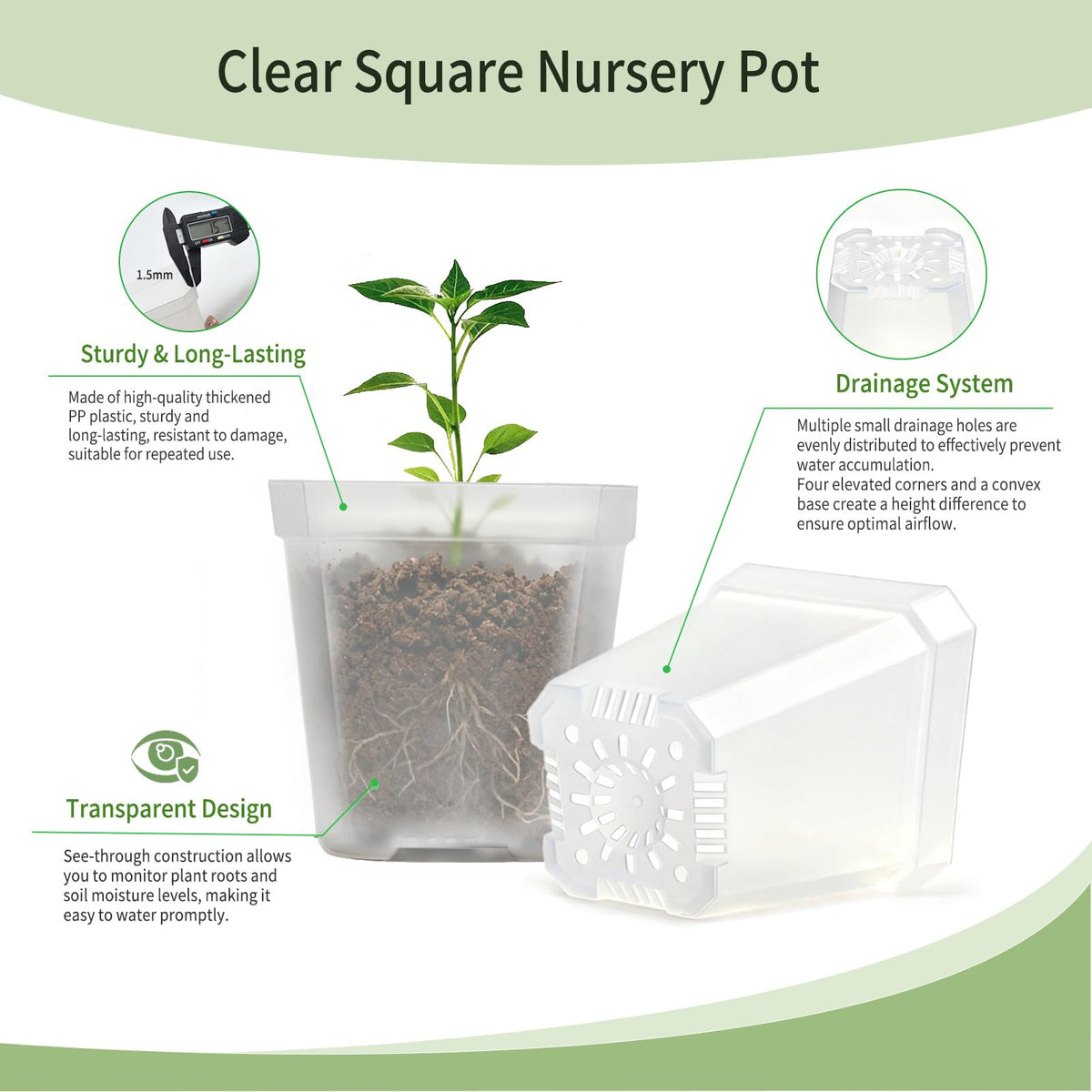 Plgardpo Clear Nursery Pots with Drainage, Square Plastic Plant Pots, 3 Inch Clear Seed Starter Flower Pots, 30 Pcs Small Pots for Seedling