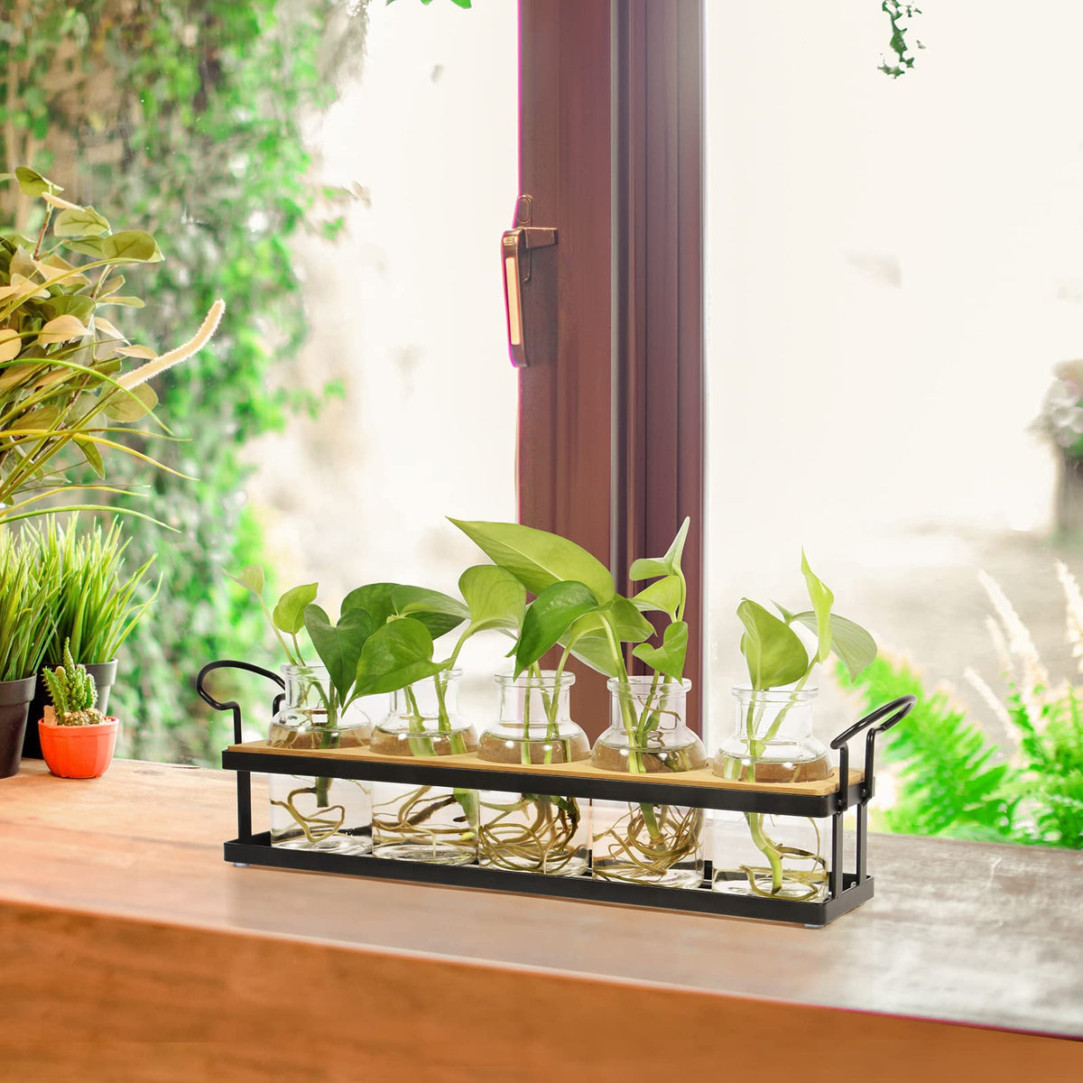 THYGIFTREE Plant Propagation Stations with Metal Stand, Tabletop Plant Terrarium for Propagating Hydroponic, Retro Glass Planter Flower Vase Home Kitchen Office Decor Gifts, 5 Jars