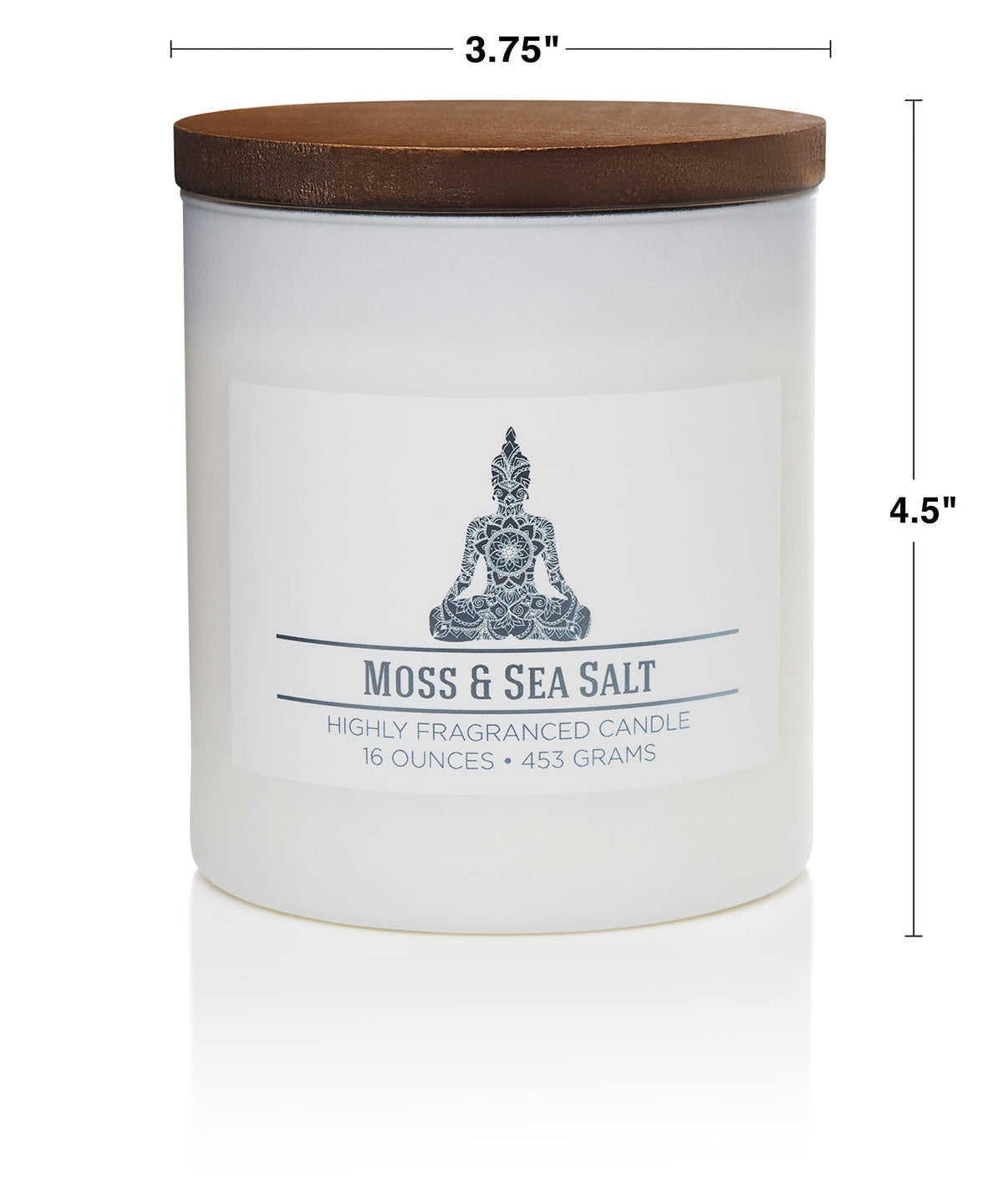 Carolina Moss & Sea Salt Scented Candle, 16 oz Wellness Relaxing Aromatherapy Candle, 2 Wick White Jar Soy Blend Wax, Candles for Home, 60H Burn - Made in The USA