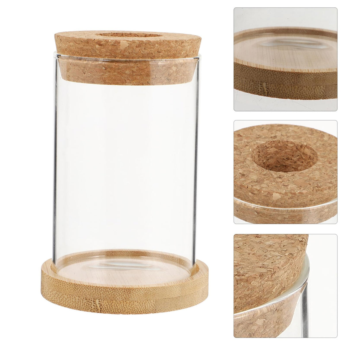 jojofuny 2pcs Glass Planter Vases for Hydroponics Plants 6.5x10in Desktop Terrarium with Stand Set for Home Office Gardening