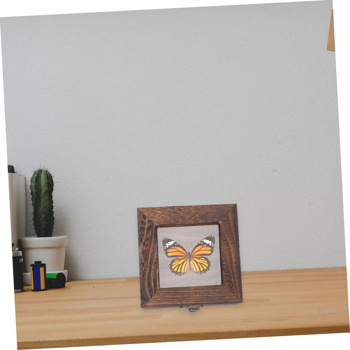 Box Box Glass Jewelry Display Case Clear Display Box Glass Terrariums for Plants Collection Box Shadow Box Frame Jewelry Containers Shadowbox Frame Collection Box