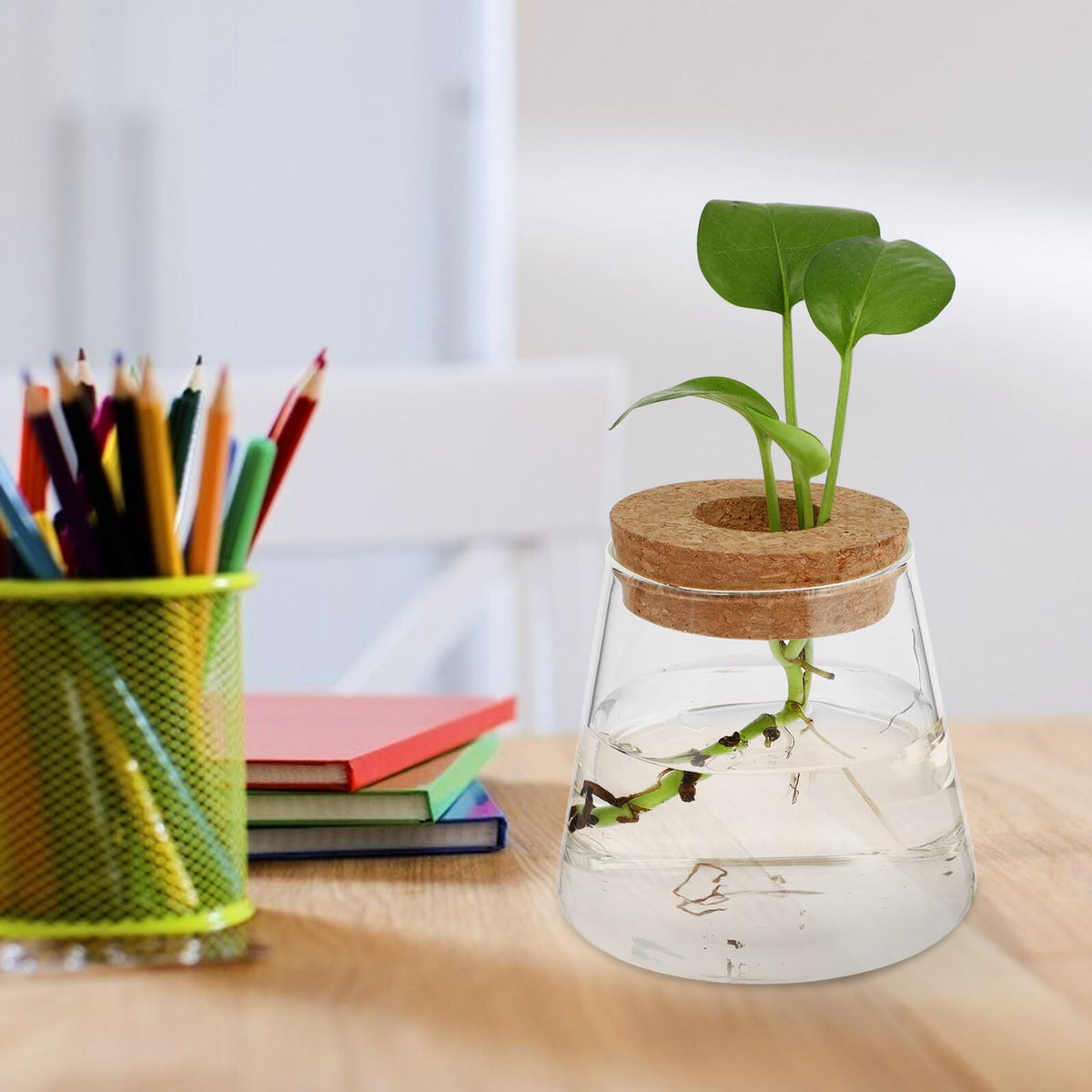 FUOYLOO Desktop Glass Vases for Hydroponics Plants, Stylish Terrarium Planter Wood Lid for Indoor and Hospitality Decor