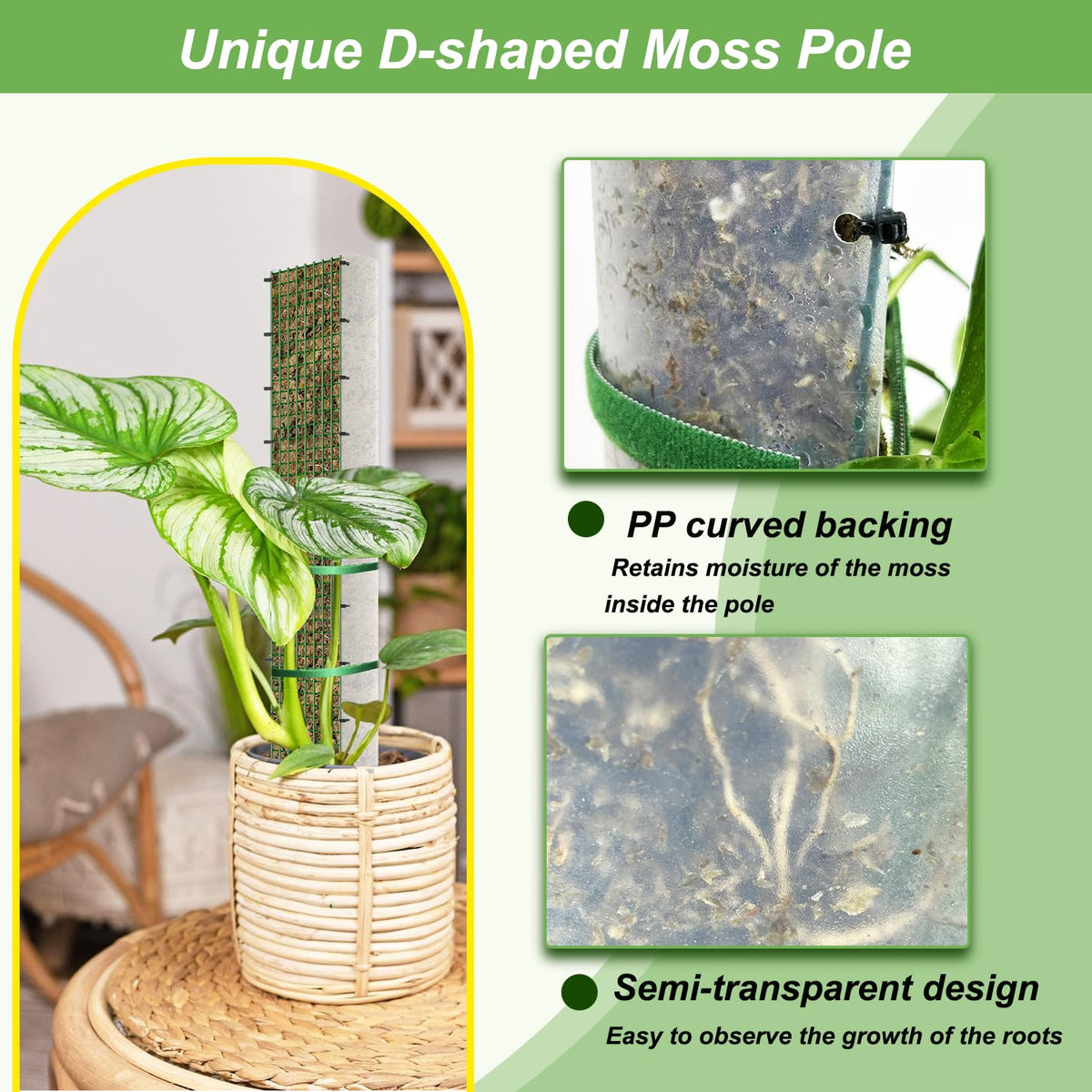 HOLANHING 60"/40"/24" Metal Moss Pole, D Shape Sphagnum Moss Pole, Moss Poles for Climbing Plants, Monstera, Indoor Climbing Plants(4Pcs 40")