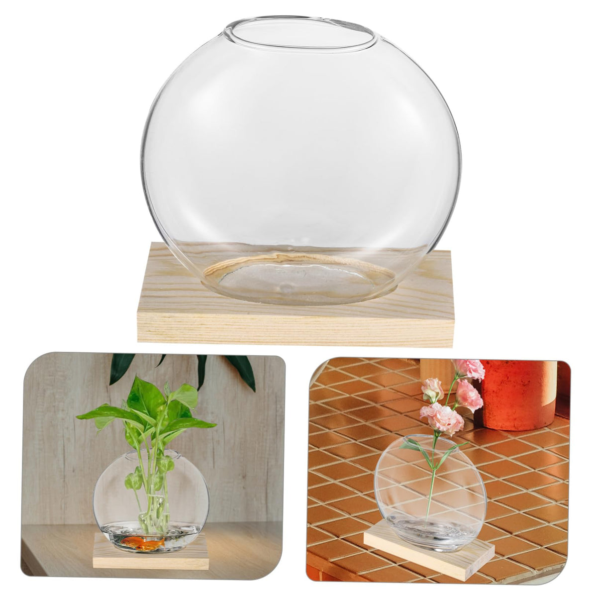 SUPVOX 2sets Glass Plant Wooden Base for Home Decor Indoor Hydroponic Plant Display Elegant Terrarium Design for Office and Wedding Decoration