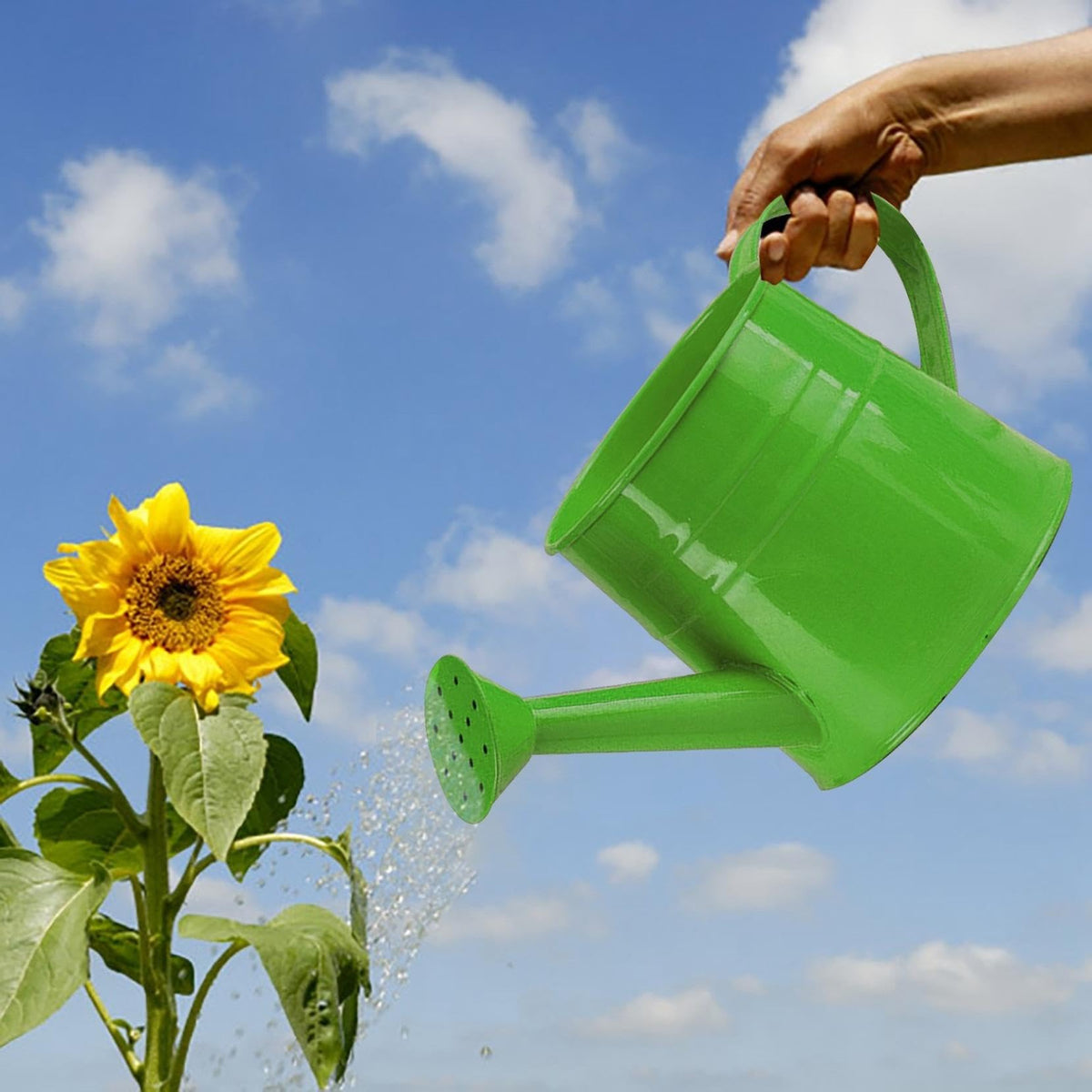 Watering Can, 1L Metal Flower Garden Watering Can, Lightweight Durable Decorative Gardening Tool for Outdoor Indoor Plants Lawn Garden (Green)