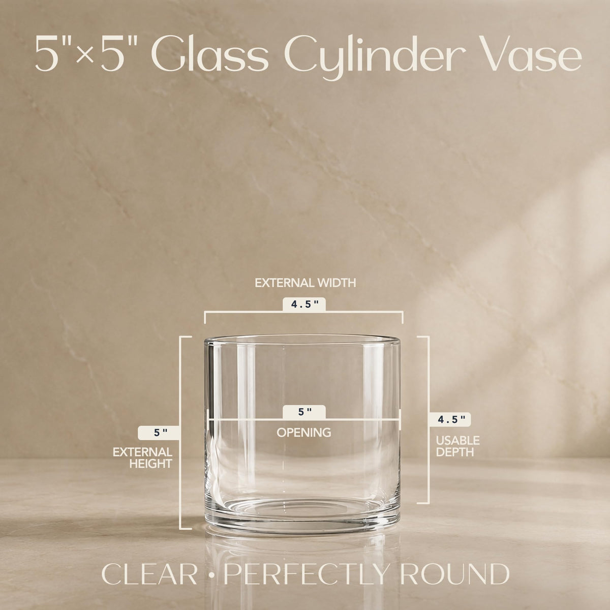 Royal Imports Flower Glass Vase Decorative Centerpiece for Home or Wedding - Cylinder Shape, 5"x5", Clear