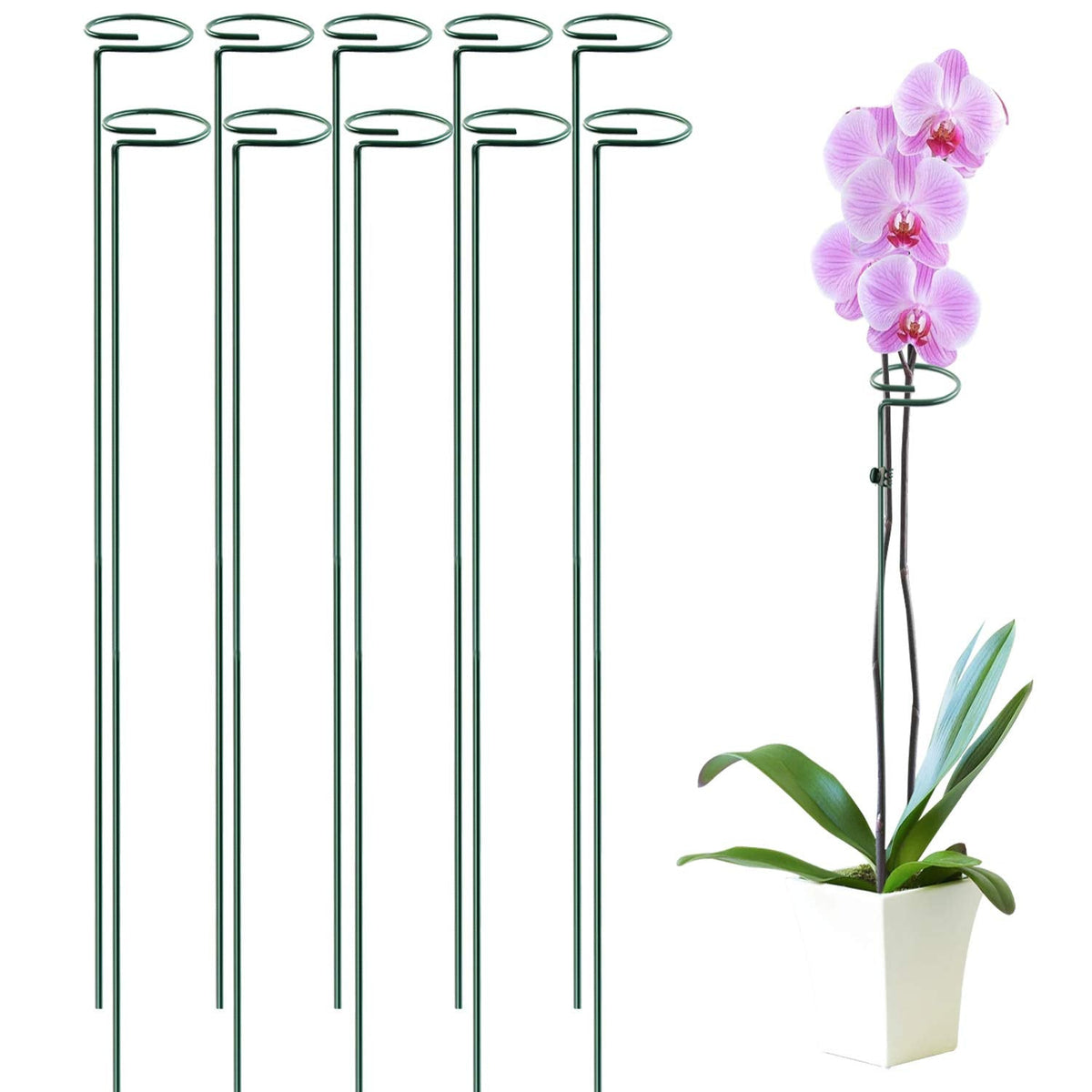 HiGift 10 Pack 36 Inch Plant Support Stake for Tall Plant, Garden Single Stem Flower Support Stake Indoor Plant Cage Support Ring for Peony, Orchid, Lily, Rose