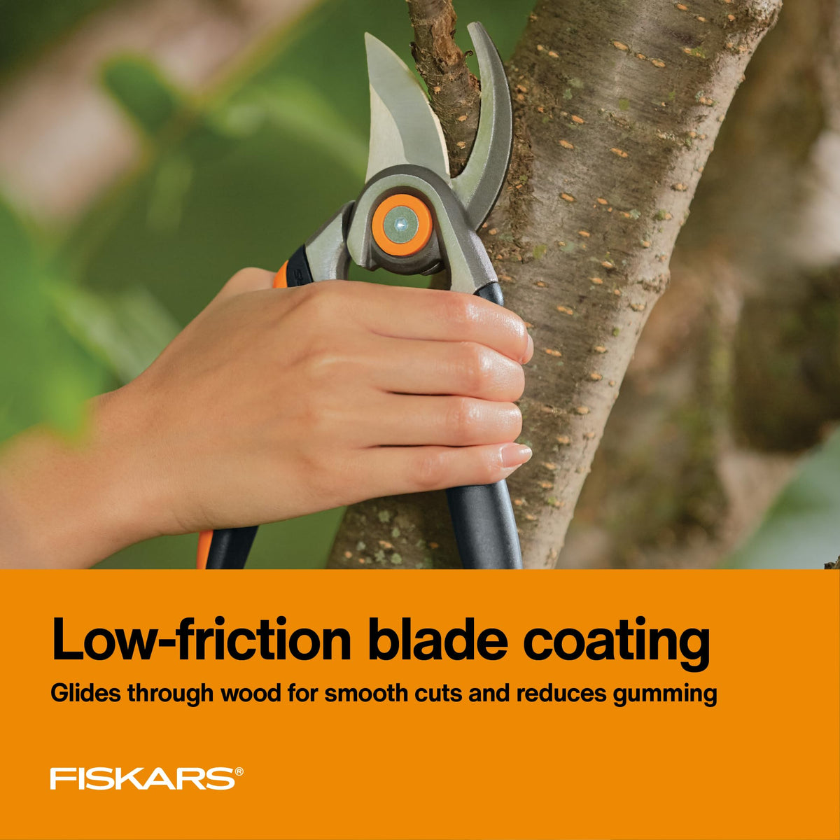 Fiskars Bypass Pruning Shears, 1" Cut Capacity Gardening Scissors, Forged Steel Replaceable Blade, SoftGrip Handle Garden Clippers, Rust Resistant Low Friction Coating for Branches & Stems