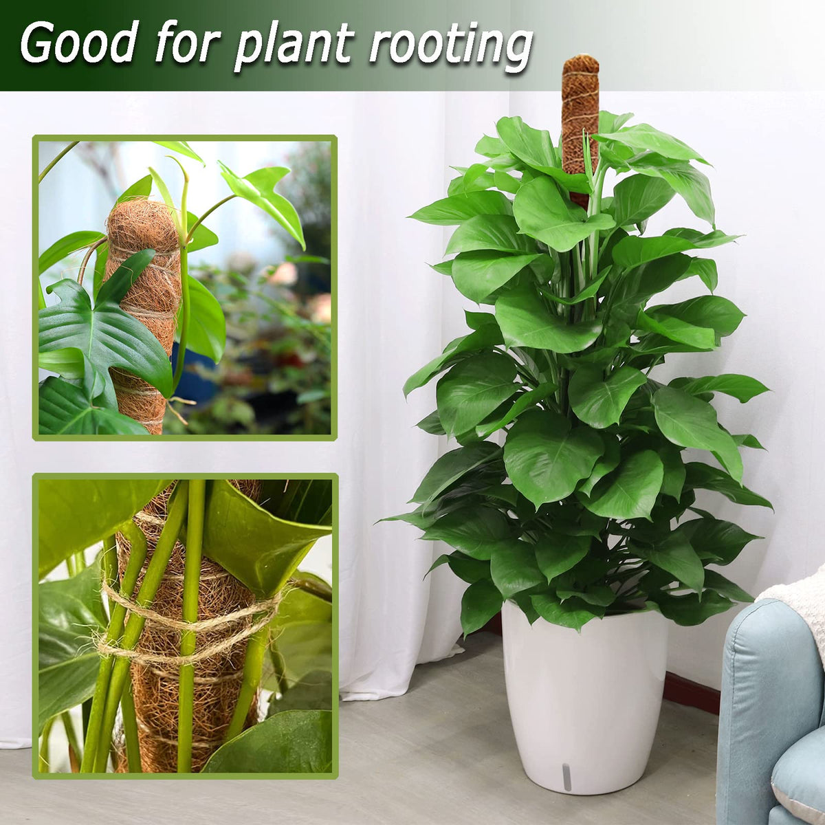 Tall Moss Pole Set, 48” and 60” Bendable Moss Pole for Plants Monstera, Moss Poles for Climbing Plants Indoor, Large Coco Coir Plant Pole Sticks Support Stakes for Potted Plants, Pothos